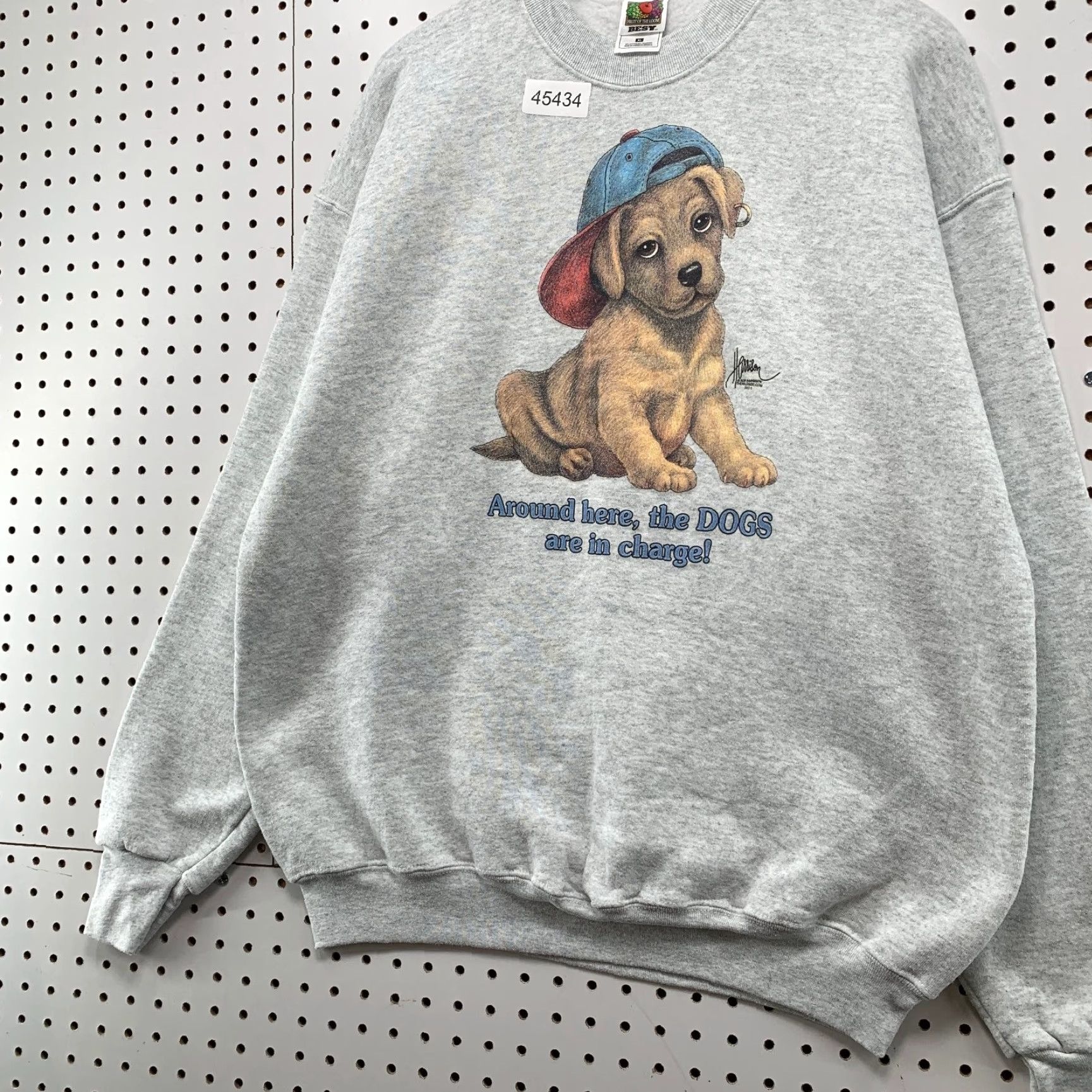 Fruit Of The Loom Vintage Sweatshirt Mens XL Gray Fleece Dog Puppy Funny Golden Retriever Size US XL / EU 56 / 4 - 3 Thumbnail