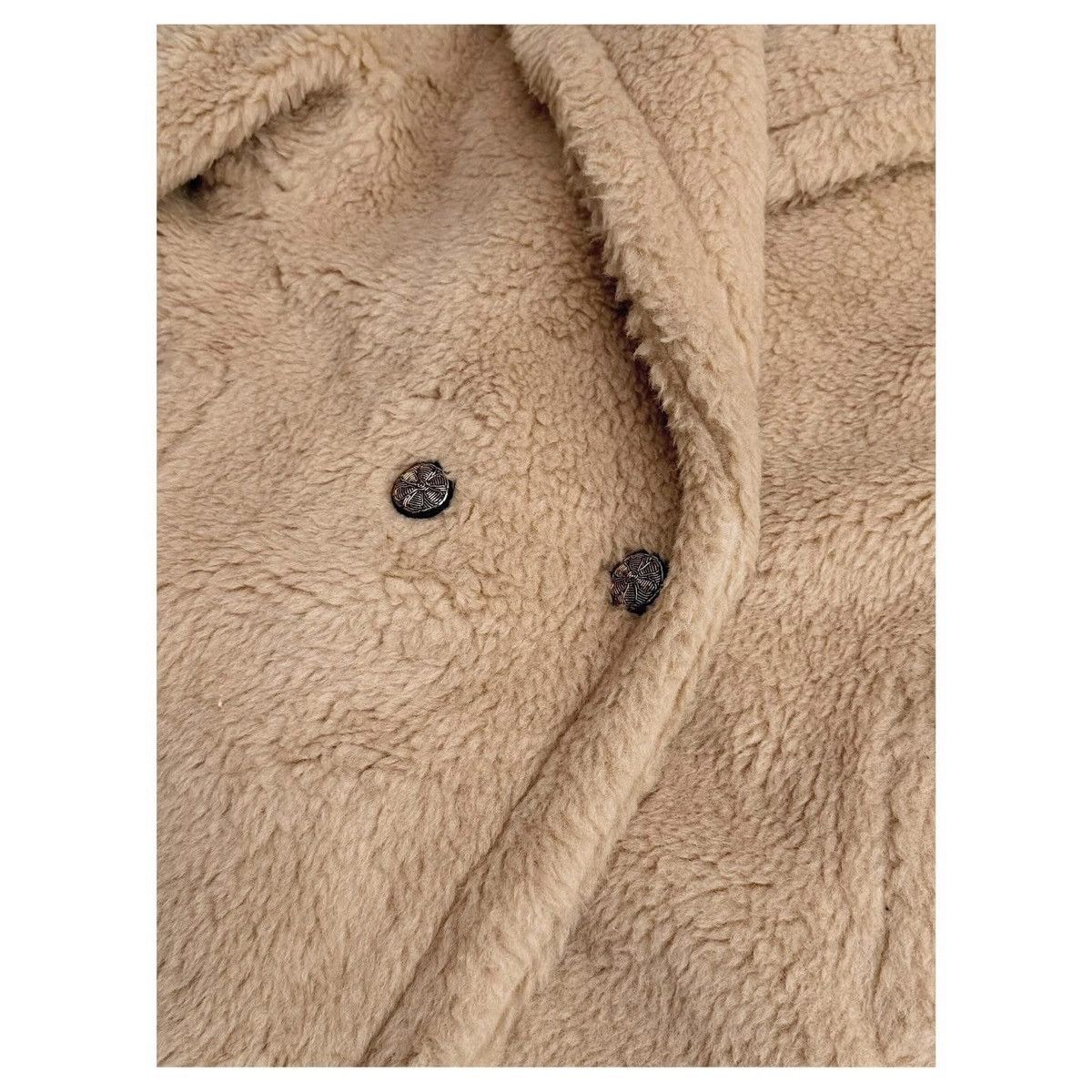 Max Mara Max Mara AW2021 Teddy Coats Size XS / US 0-2 / IT 36-38 - 5 Thumbnail
