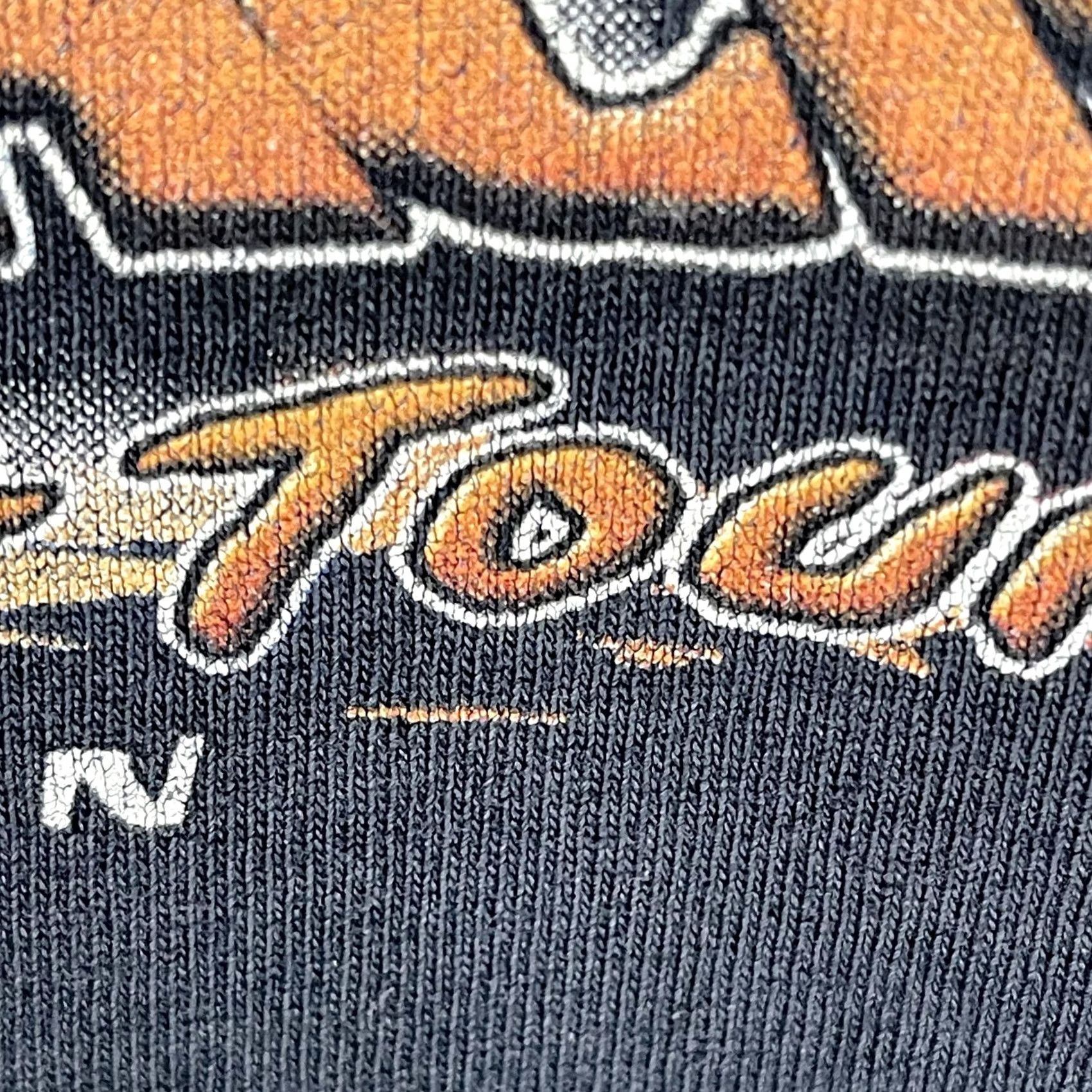 Fruit Of The Loom VINTAGE Fruit of the Loom Shirt Mens L Black US Flat Track 2002 Motorcycle Racing Graphic Print Double-Sided Crew Neck T-Shirt Size US L / EU 52-54 / 3 - 4 Thumbnail