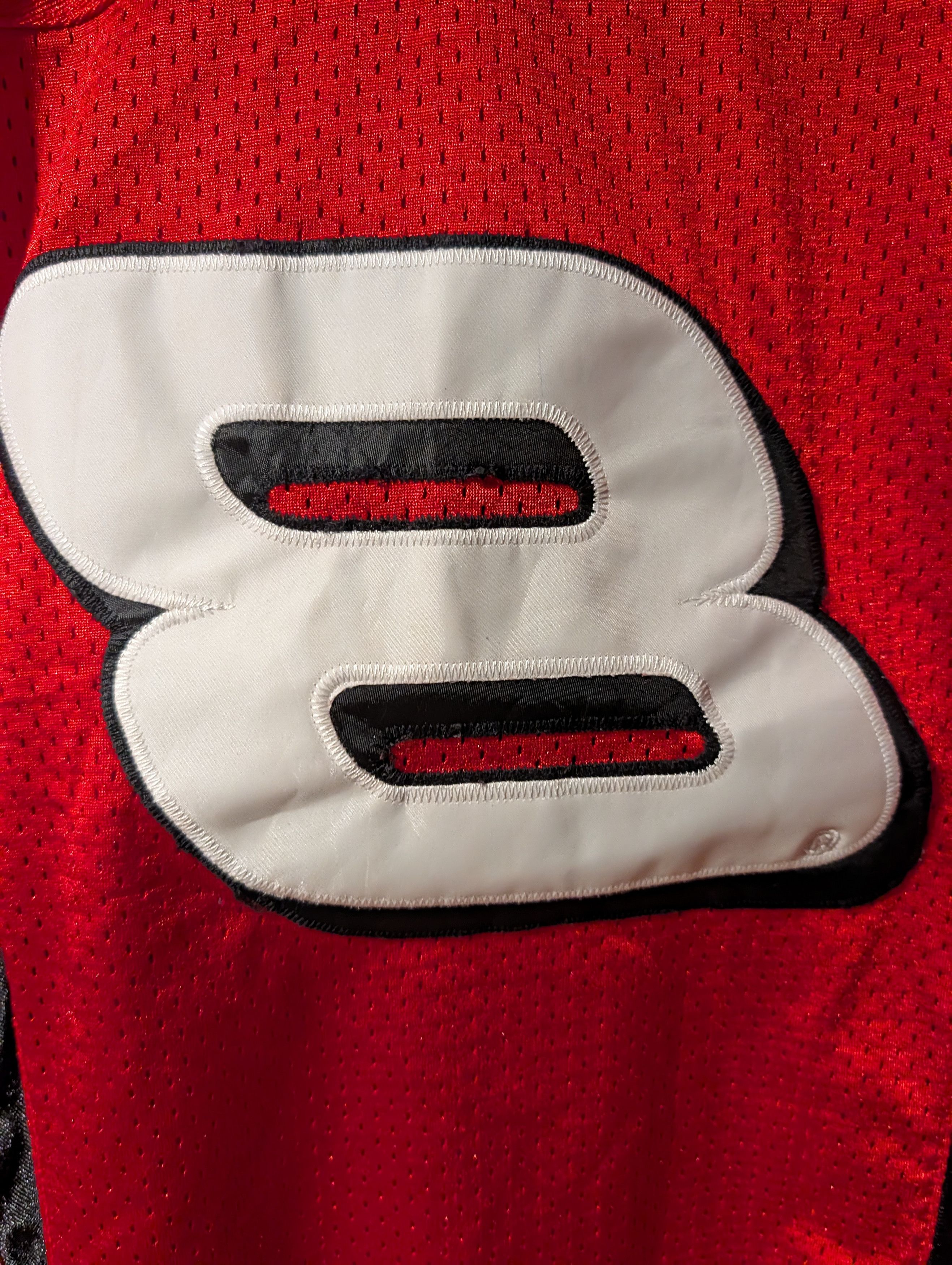 NASCAR DALE EARNHARDT JR. NASCAR BUDWEISER VINTAGE CHASE JERSEY Size L / US 10 / IT 46 - 2 Thumbnail