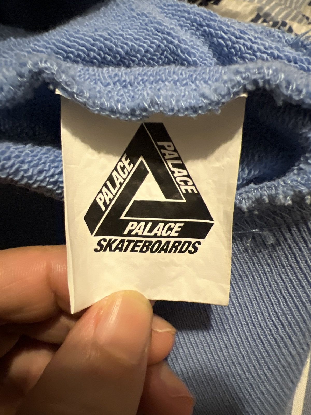 Palace Palace English Rose Hoodie Light Blue Size US M / EU 48-50 / 2 - 4 Thumbnail
