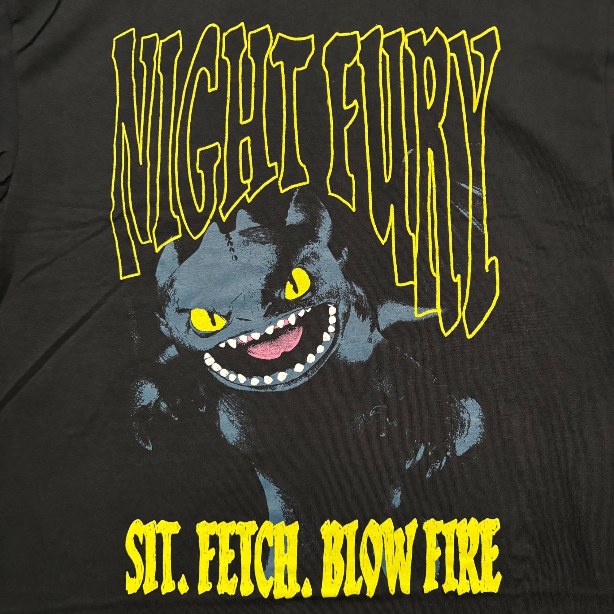 Other Dreamworks Dragons Toothless Sit Fetch Blow Fire Tee L Size US L / EU 52-54 / 3 - 2 Thumbnail