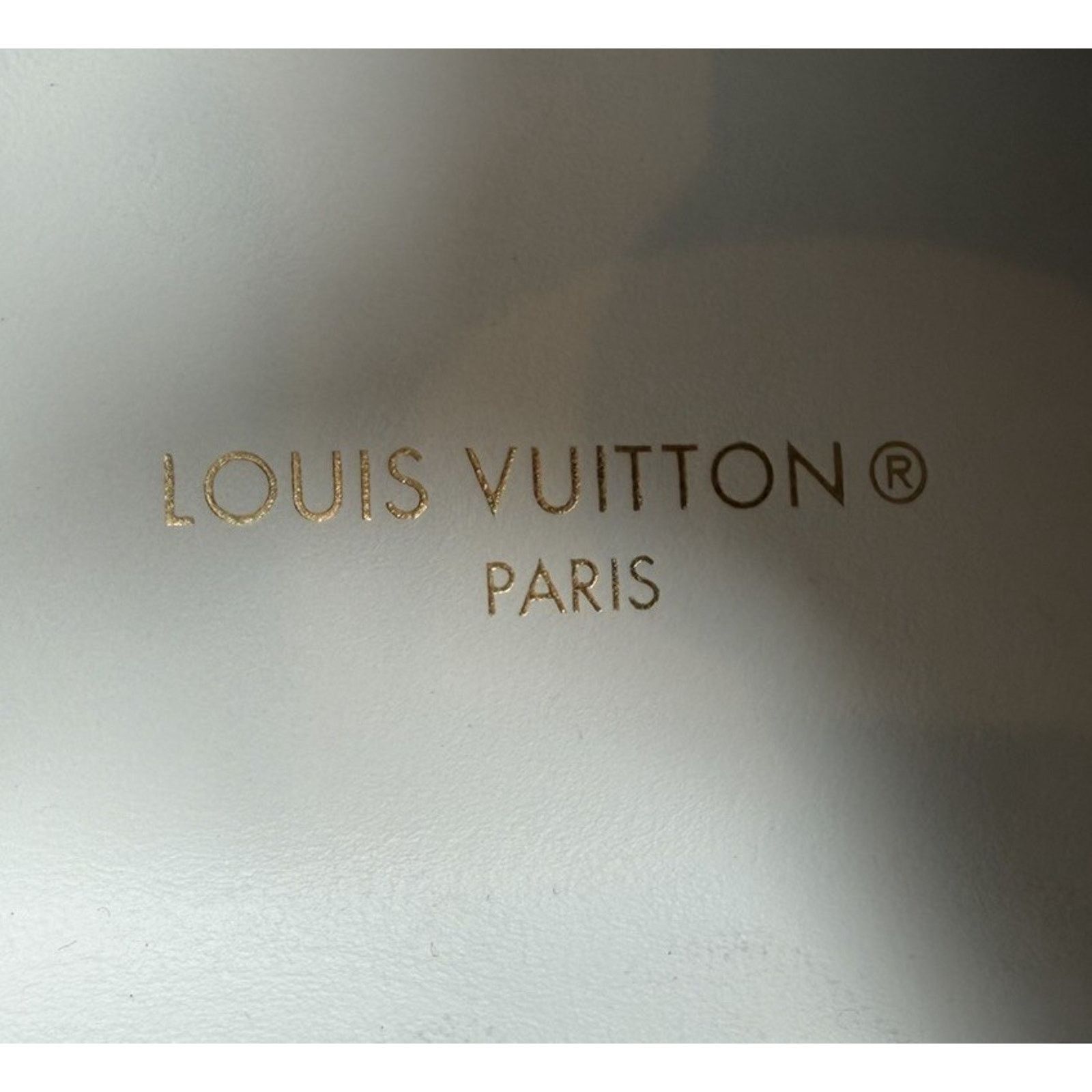 Louis Vuitton Size 7UK/8US - Louis Vuitton Rivoli Sneaker Low TRIED ON! Size US 8 / EU 41 - 11 Thumbnail