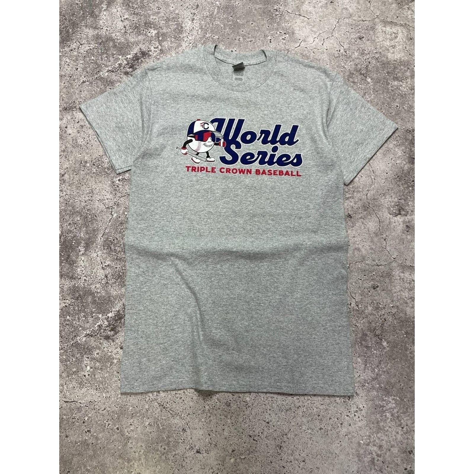 Gildan × Vintage Vintage Triple Crown Baseball World Series Tee Gray S 90s Size US S / EU 44-46 / 1 - 1 Thumbnail