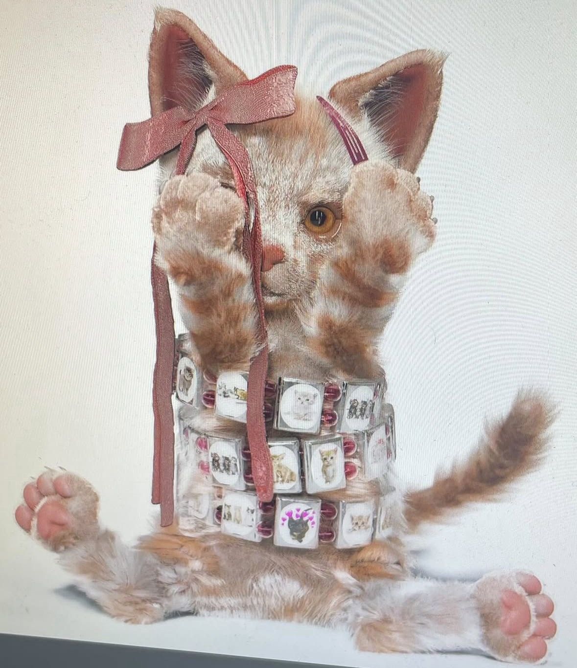 Bazo 1199 Valentines Cat Bracelet