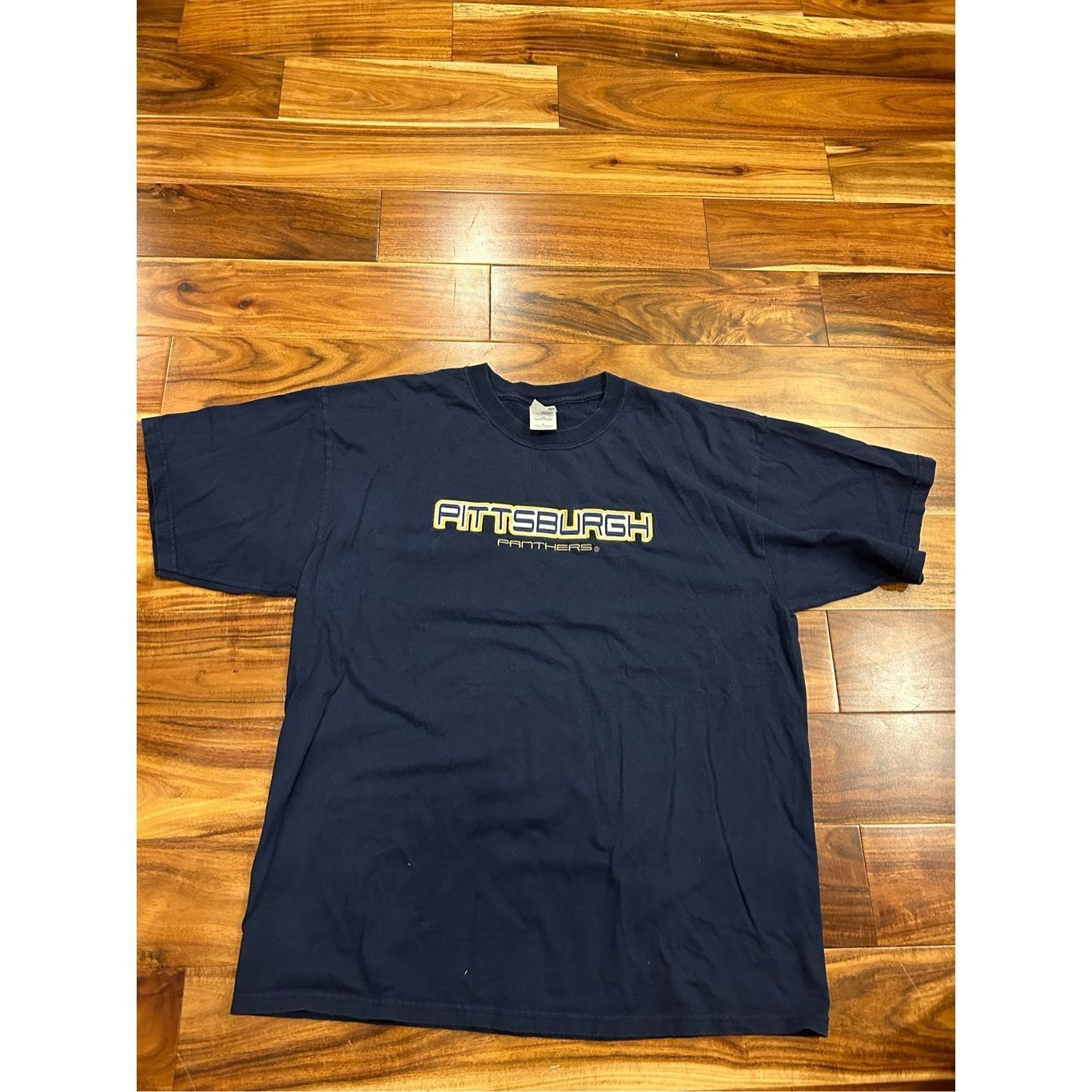 Gildan Vintage Y2K, Pittsburgh Panthers embroidered puff print T-sh Size US XL / EU 56 / 4 - 5 Thumbnail