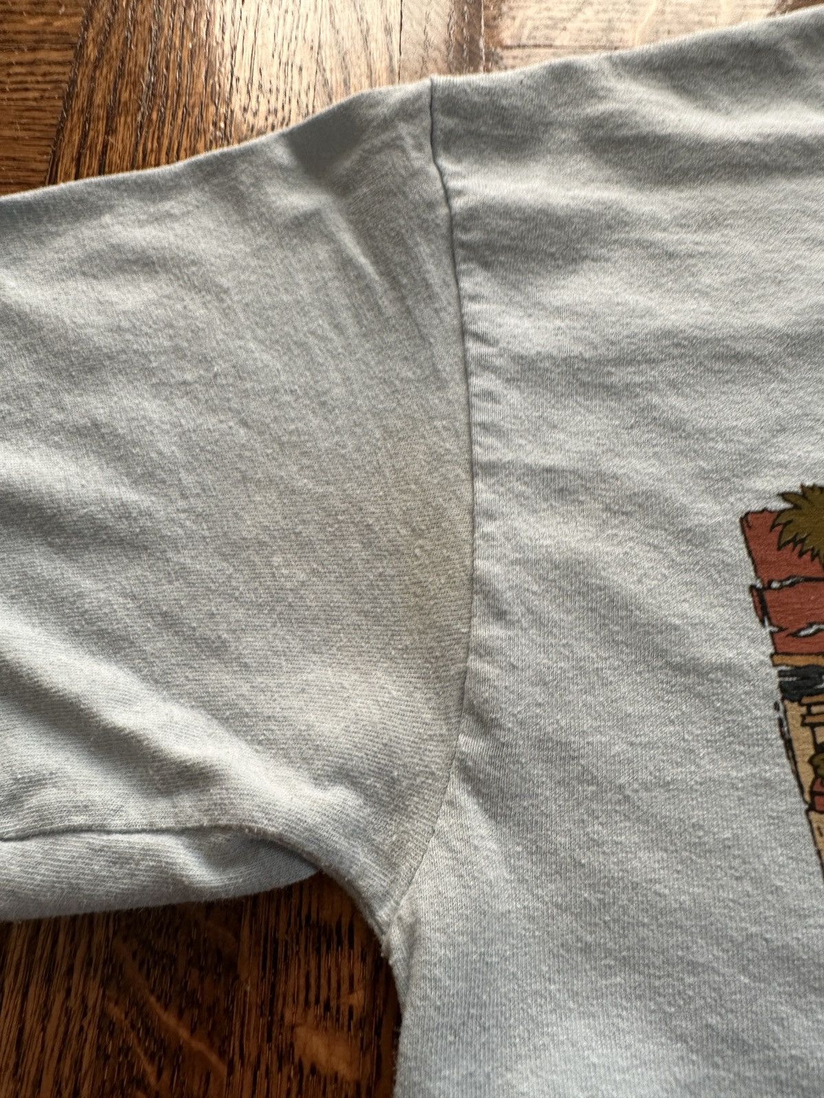 Japanese Brand Vintage Y2K San Antonio Texas Cartoon Graphic Tee Size US S / EU 44-46 / 1 - 9 Thumbnail