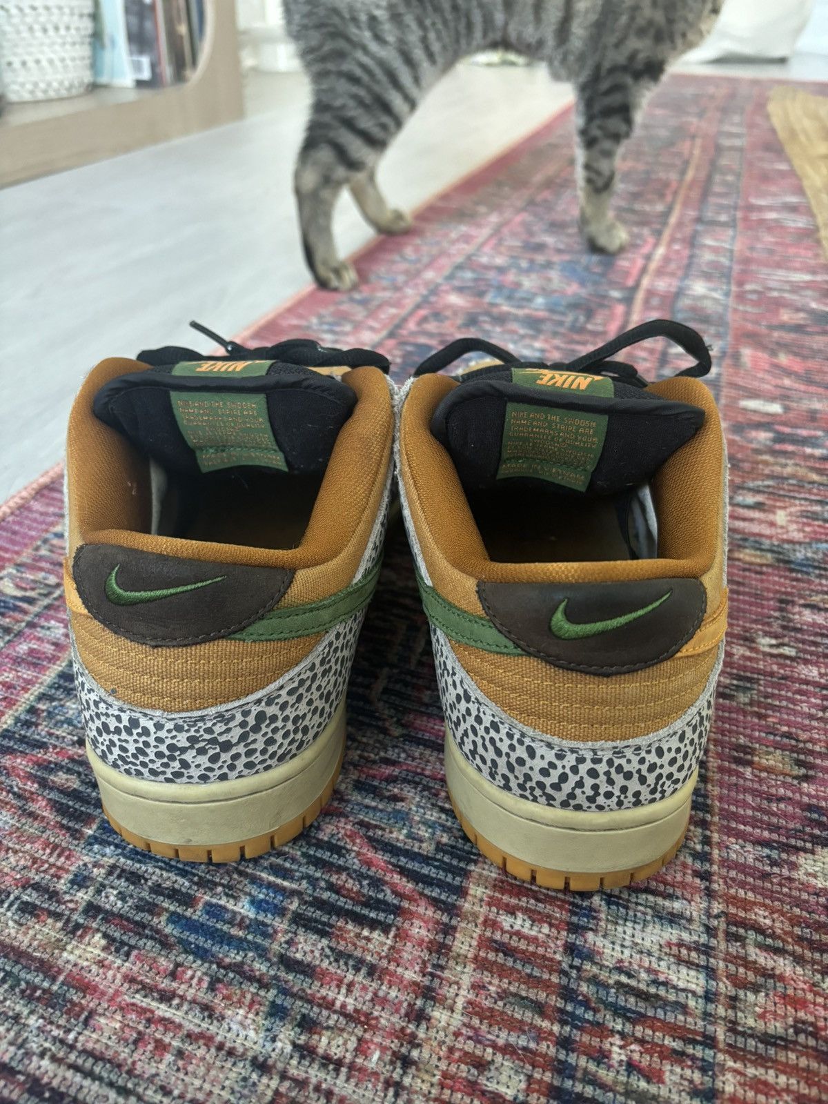 Nike DB Dunk Safari