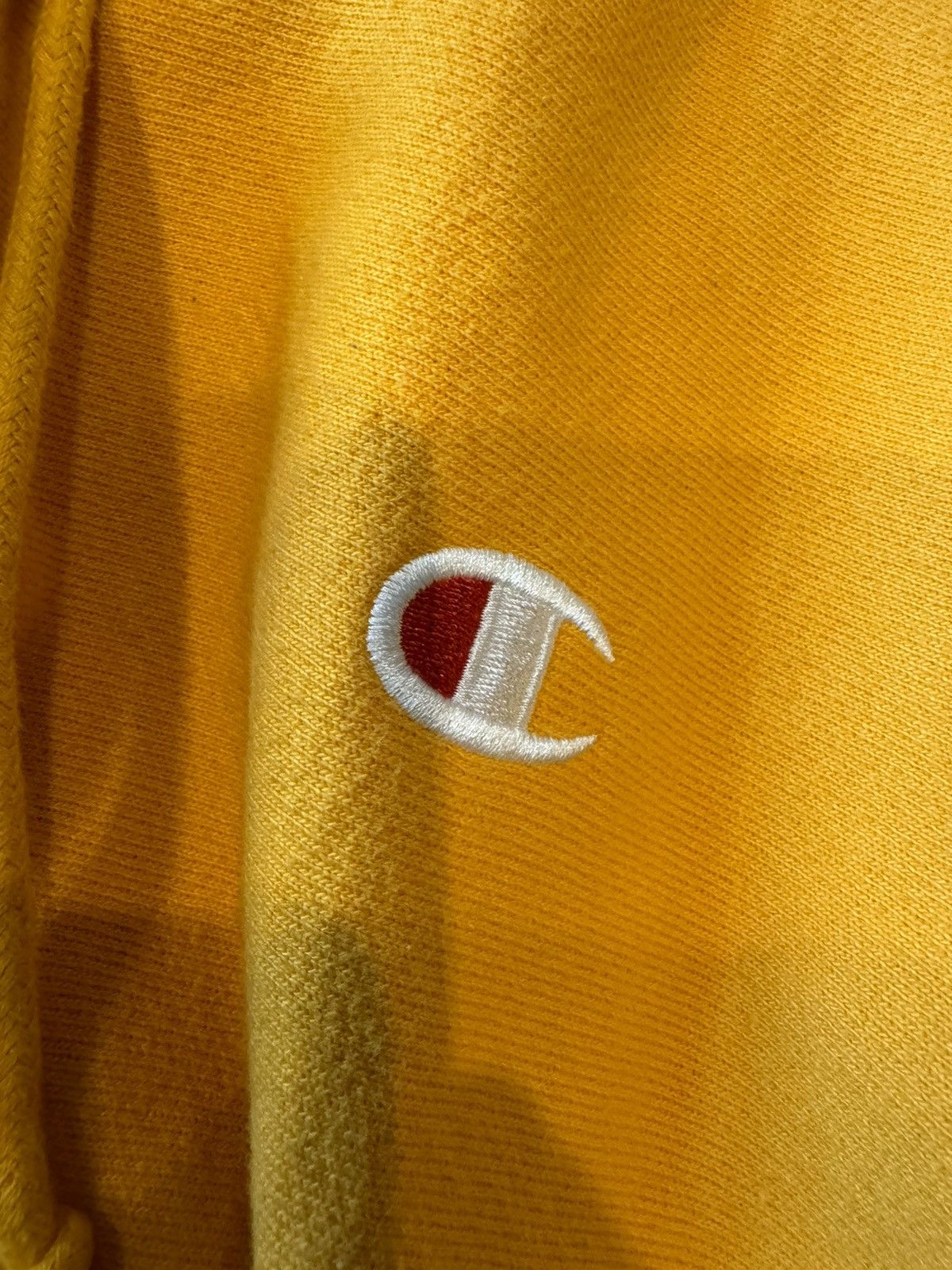Champion Champion Reverse Weave Hoodie Size US M / EU 48-50 / 2 - 3 Thumbnail