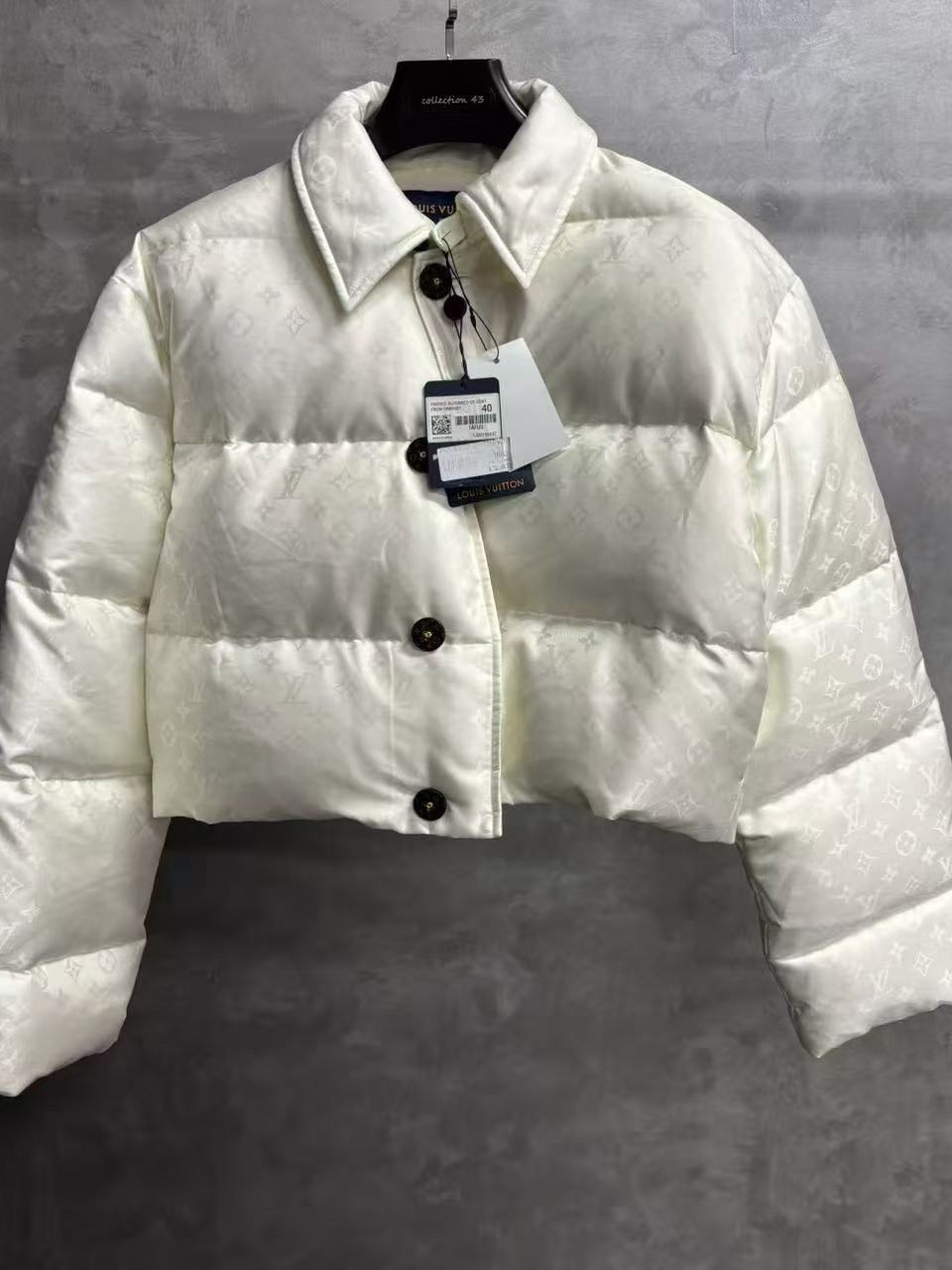 Louis Vuitton Louis Vuitton Monogram Puffer Jacket Size 40 Size M / US 6-8 / IT 42-44 - 1 Thumbnail