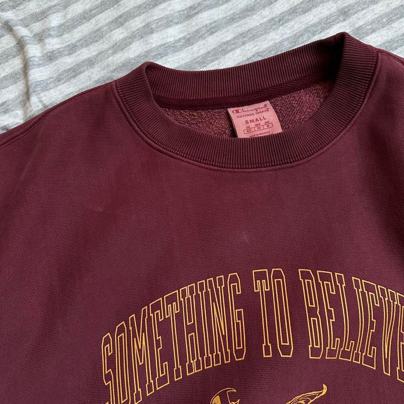 Guizio Danielle Guizio Champion Reverse Weave Crewneck Sweatshirt Size S / US 4 / IT 40 - 4 Thumbnail