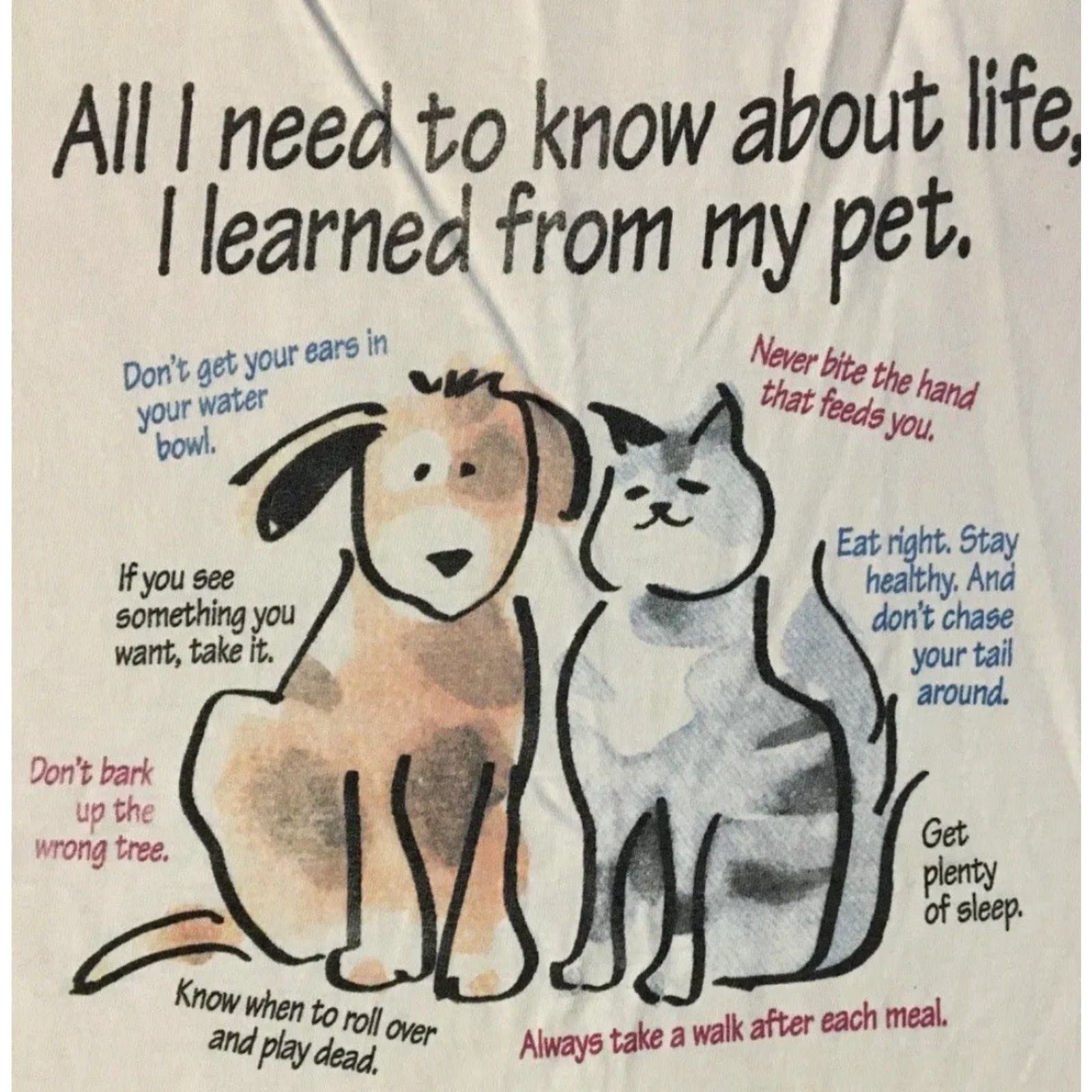Vintage VINTAGE 90s I Learned From My Pet Thrashed Faded Shirt M White Short Sleeve Mens T-Shirt Dog Cat Grunge Hip Hop Pet Humor Size US M / EU 48-50 / 2 - 2 Thumbnail
