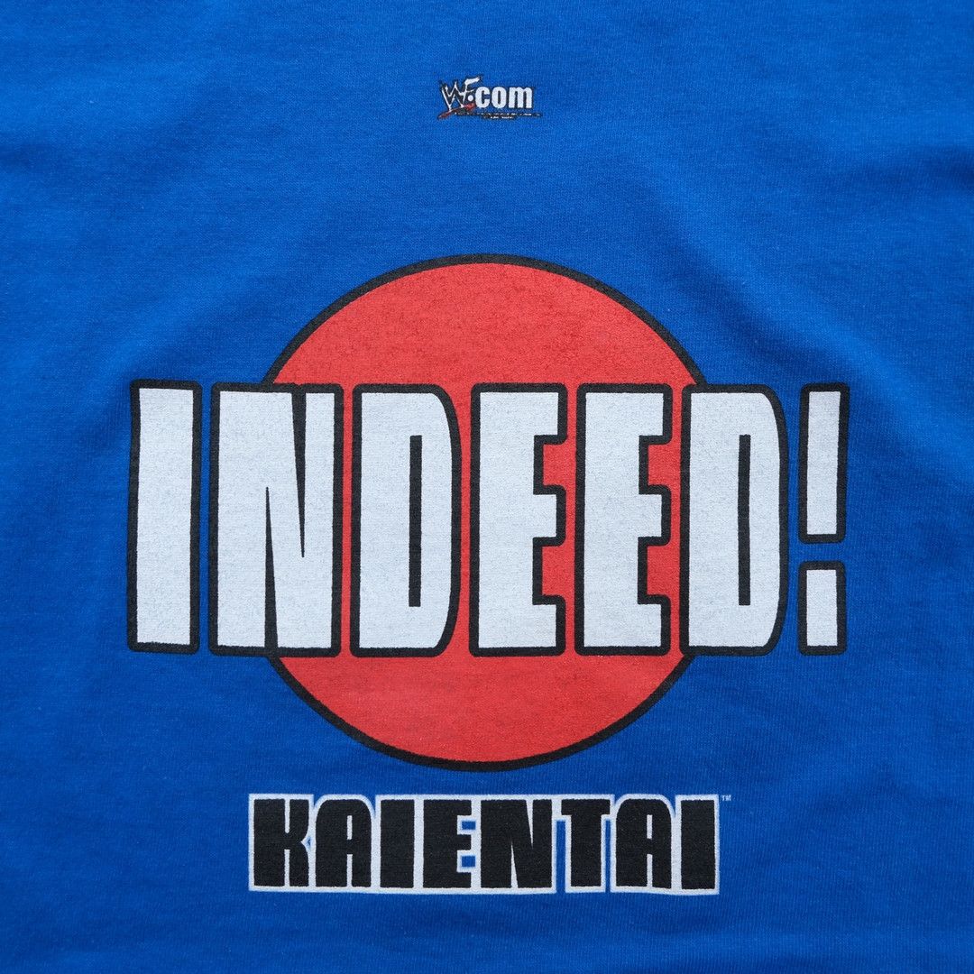 WWF 2000s kaientai EVIL Indeed! WWF TV Sow tee Size US XXL / EU 58 / 5 - 5 Thumbnail