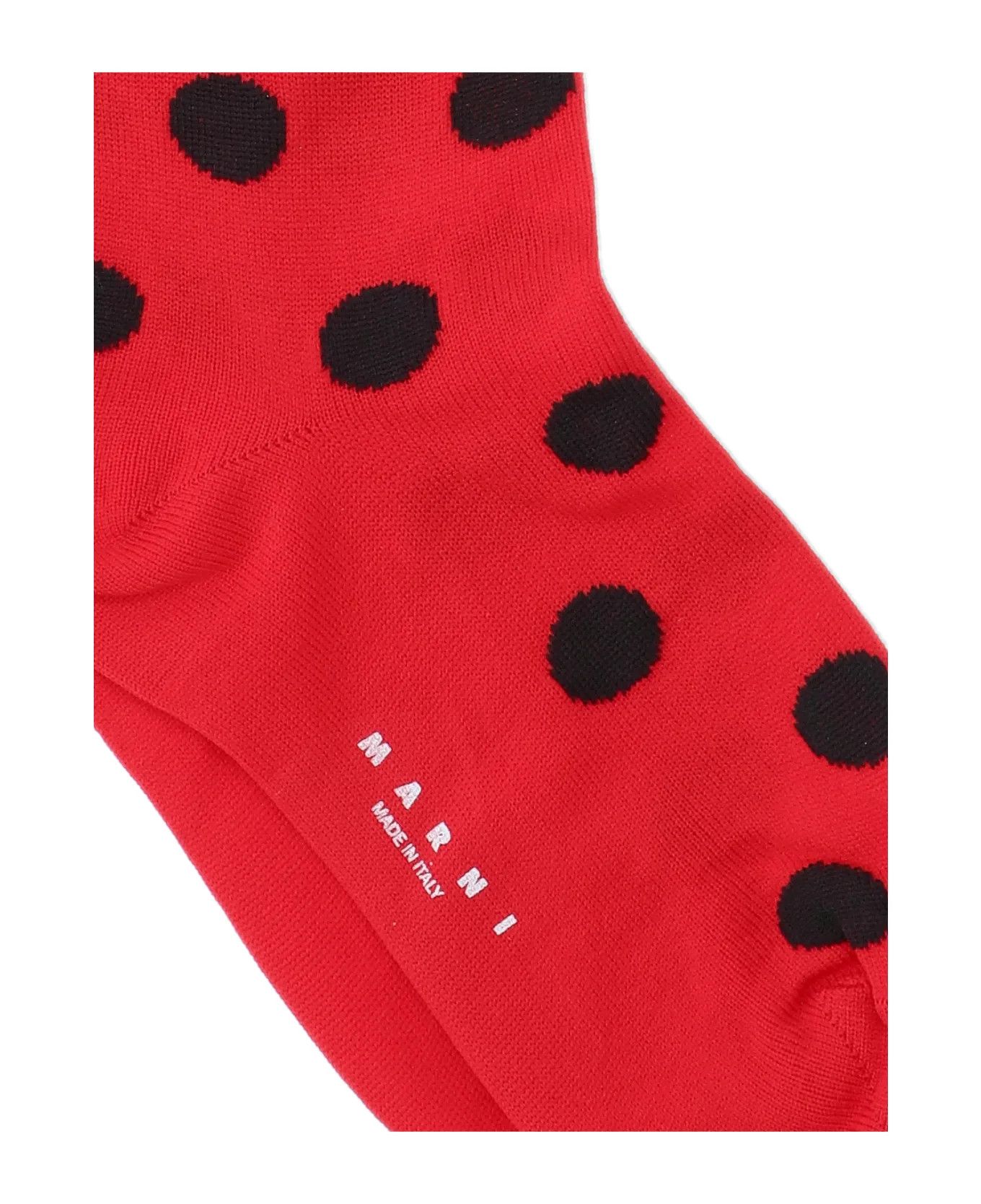 Marni o1w1db10125 Size:OS/Polka Dot Socks in Red Size ONE SIZE - 3 Thumbnail