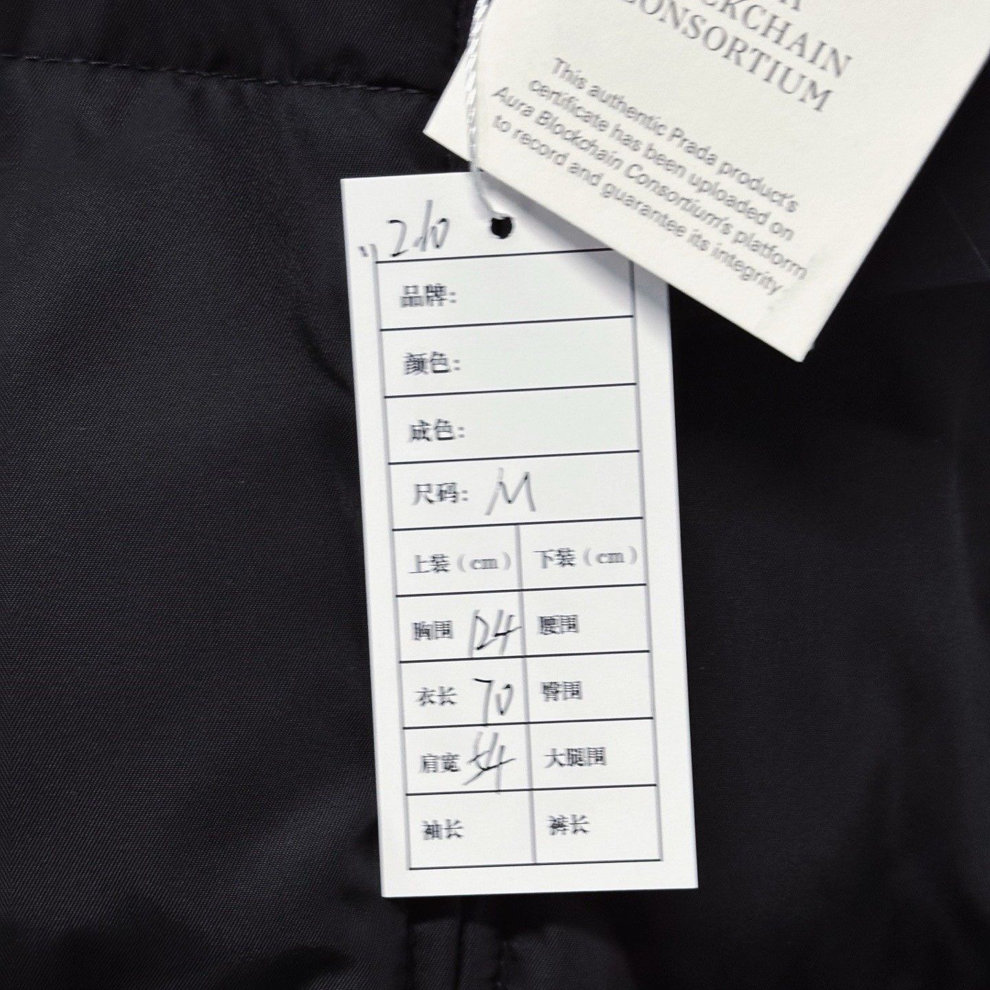 Prada Prada SS25 Triangle Logo Stand Collar Down Jacket Size US M / EU 48-50 / 2 - 5 Thumbnail