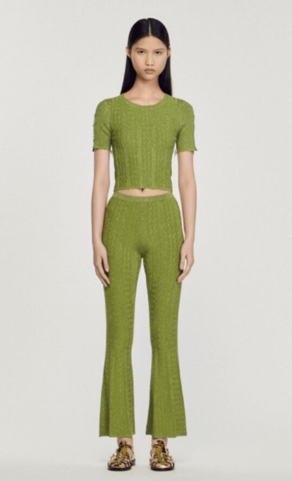 Sandro Sandro Chalamet pants Pants Size 27" / US 4 / IT 40 - 1 Thumbnail