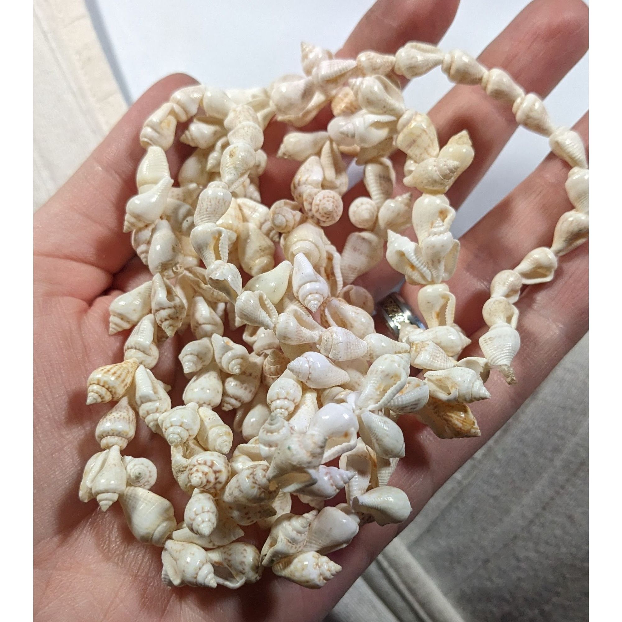 Other Mermaidcore Summer Beachy Cream Seashell Necklace Size ONE SIZE - 7 Thumbnail