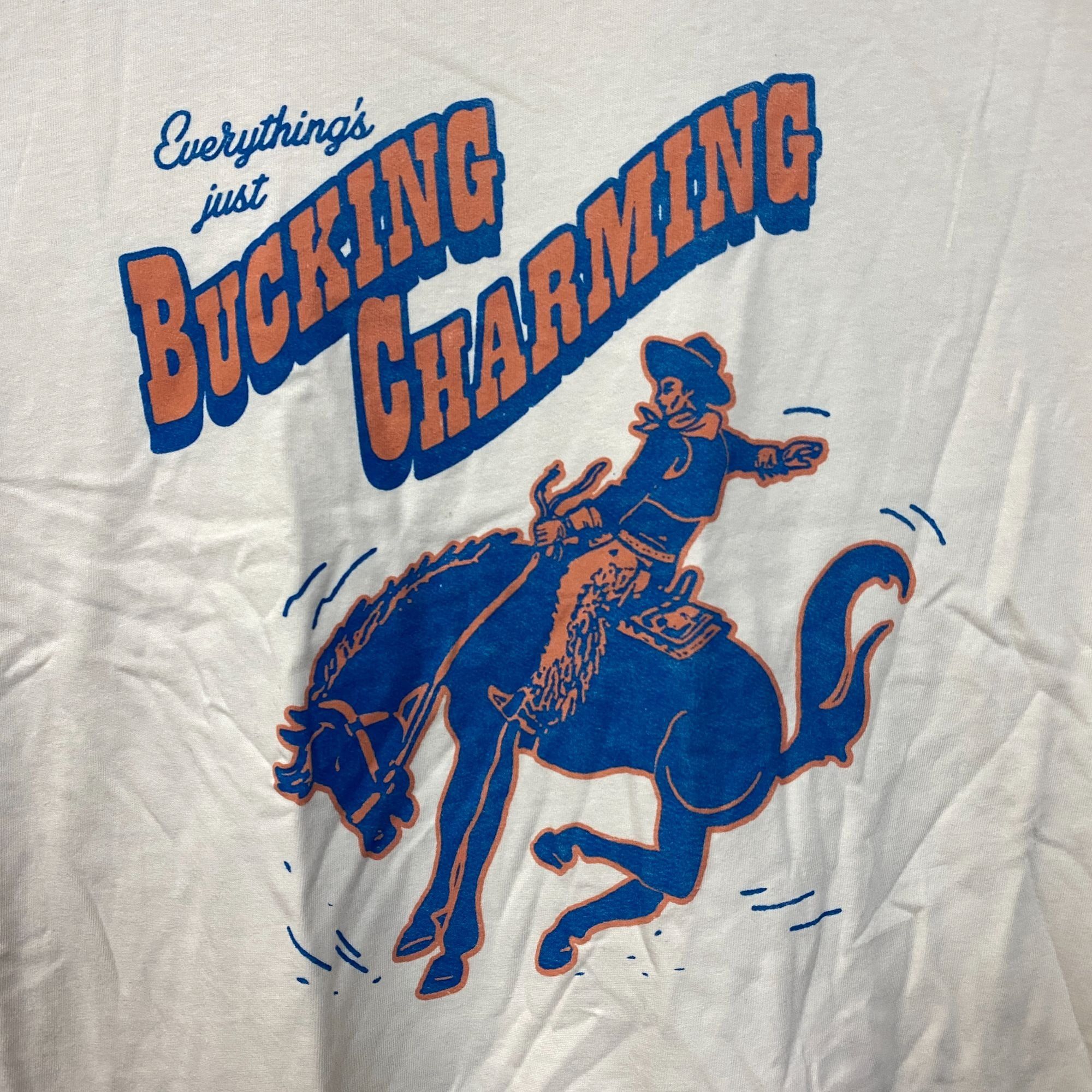 Junk Food Junk Food Clothing Bucking Charming Vintage Style T-Shirt XL Size US XL / EU 56 / 4 - 3 Thumbnail