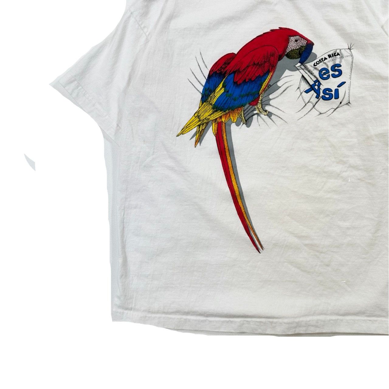 Vintage Vintage 90s Costa Rica Big Print Parrot Graphic T Shirt Size US L / EU 52-54 / 3 - 3 Thumbnail