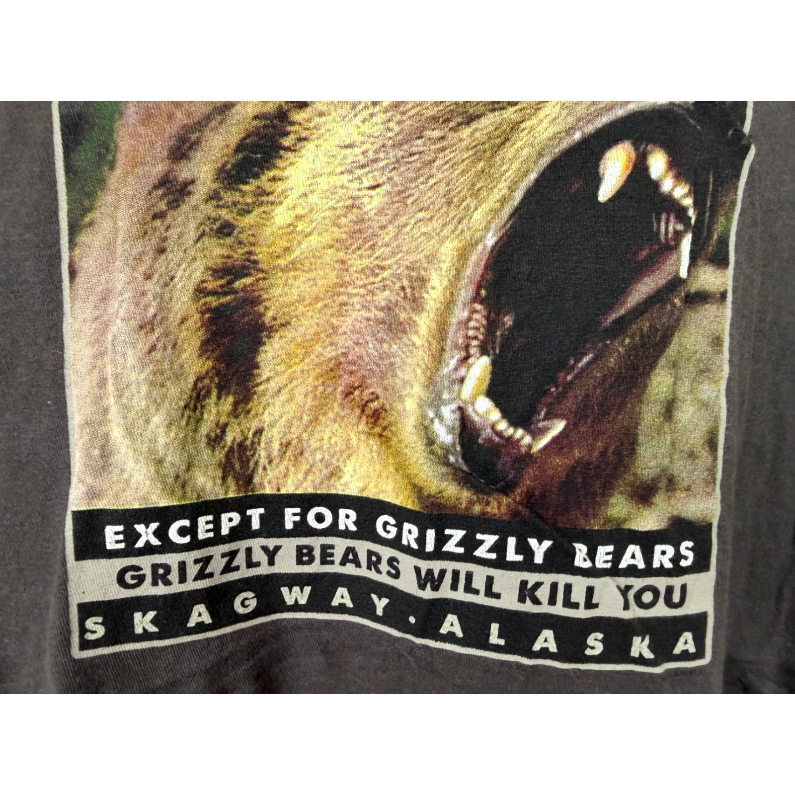 Vintage VINTAGE The Duck Co. Shirt Men's XXL Skagway Alaska Brown Bear Nature Outdoors Graphic Print T-Shirt 2000s Y2K Animals Hipster Funny 90s? Size US XXL / EU 58 / 5 - 6 Thumbnail