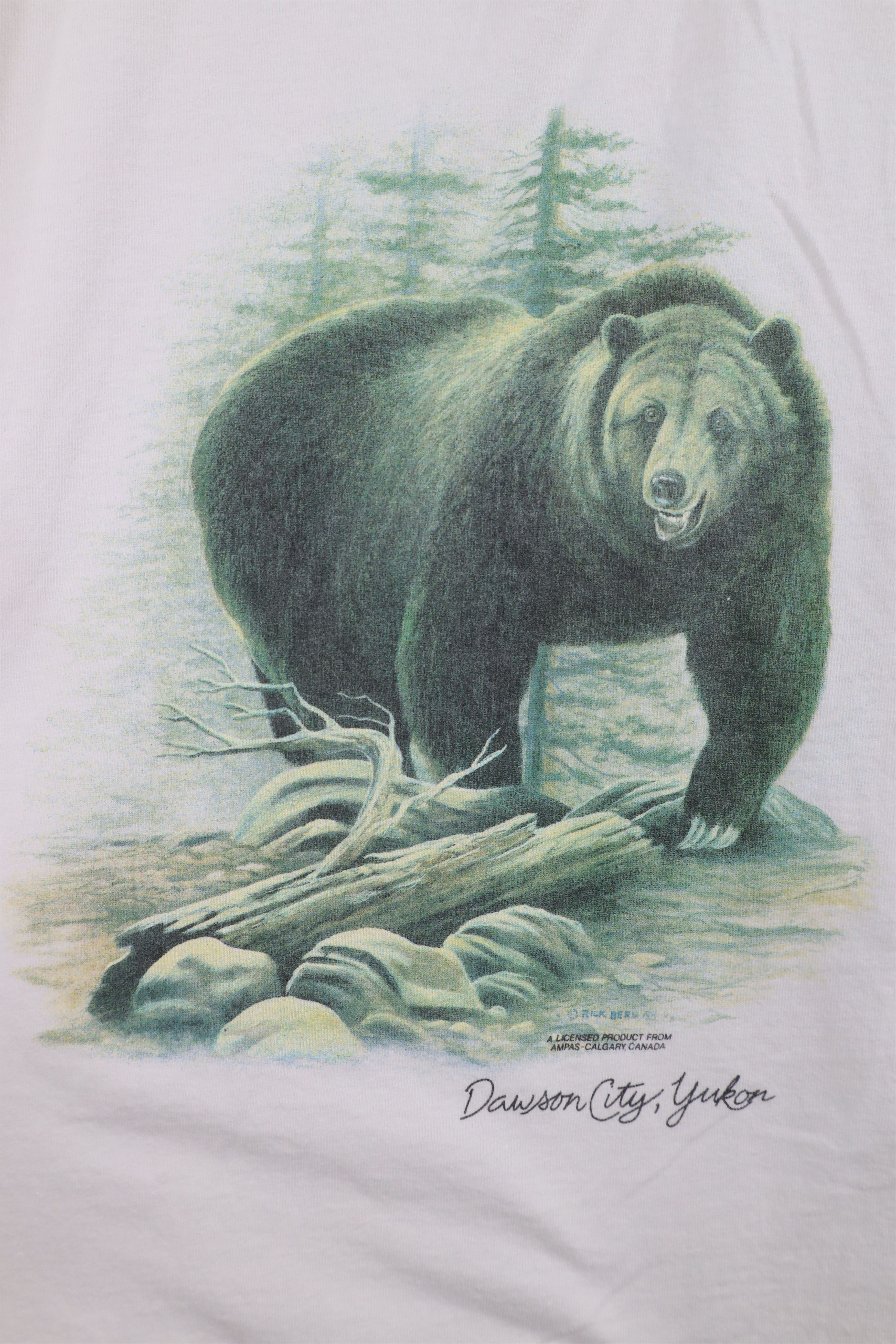 Vintage Vintage 90s Streetwear Dawson City Yukon Bear T-Shirt White Size US XL / EU 56 / 4 - 7 Thumbnail