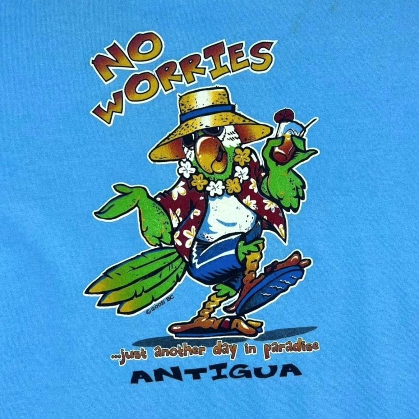Vintage VINTAGE Antigua "No Worries" Parrot Cartoon Tourist Graphic T-Shirt Large Mens Blue Size US L / EU 52-54 / 3 - 5 Thumbnail