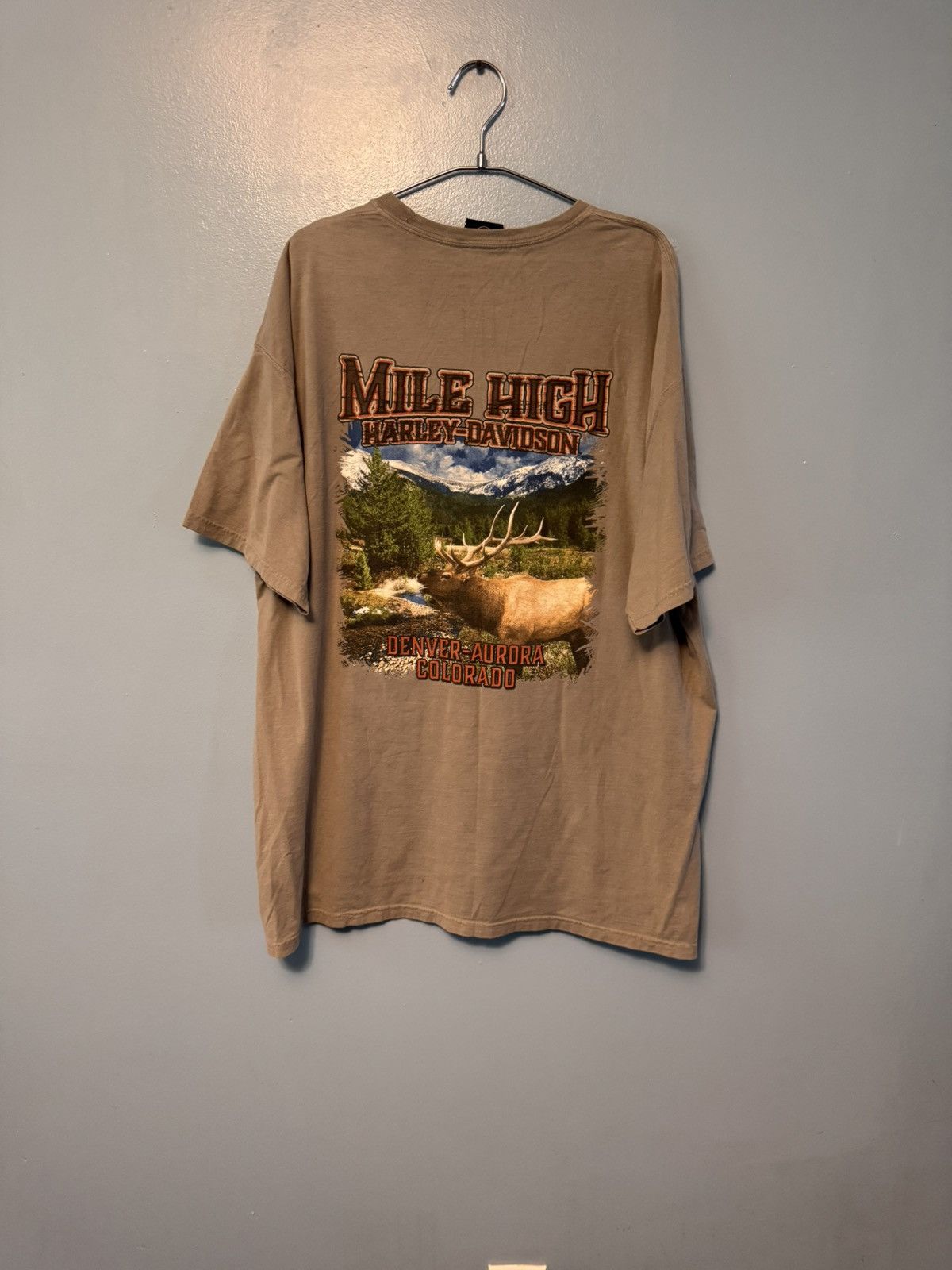 Harley Davidson Harley Davidson T-Shirt Size US L / EU 52-54 / 3 - 3 Thumbnail