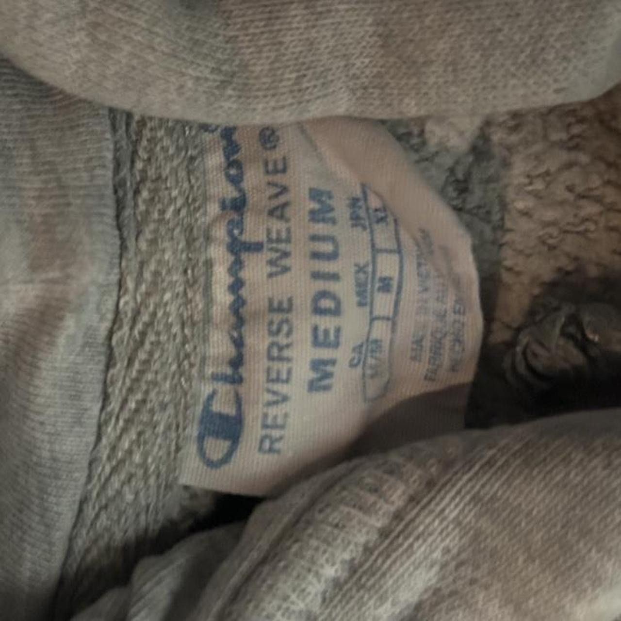 Champion Grey Champion languages hoodie Size US M / EU 48-50 / 2 - 3 Thumbnail