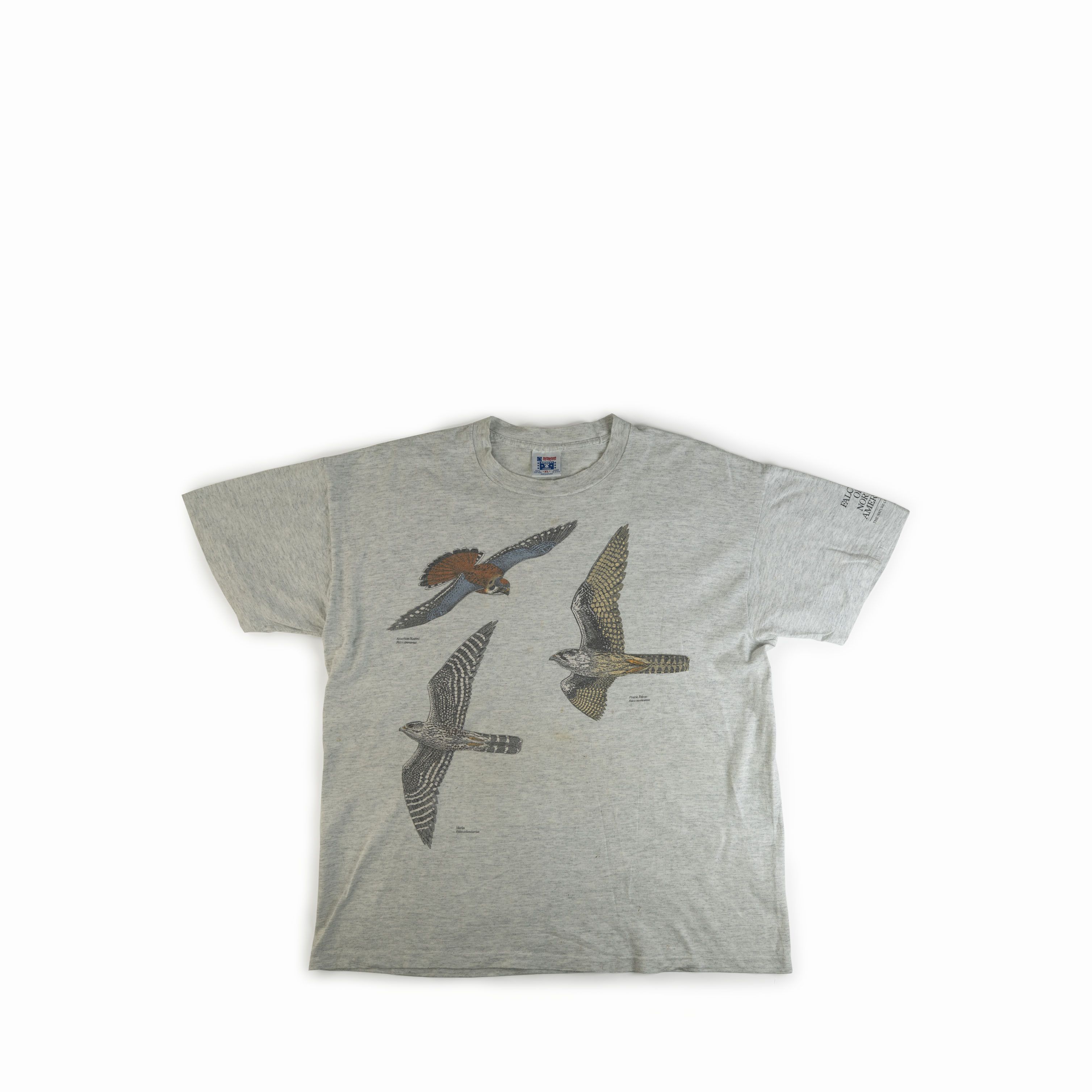 Vintage Vintage 1990 Falcons Of North America Birds Nature Tee Shirt Size US XL / EU 56 / 4 - 1 Thumbnail