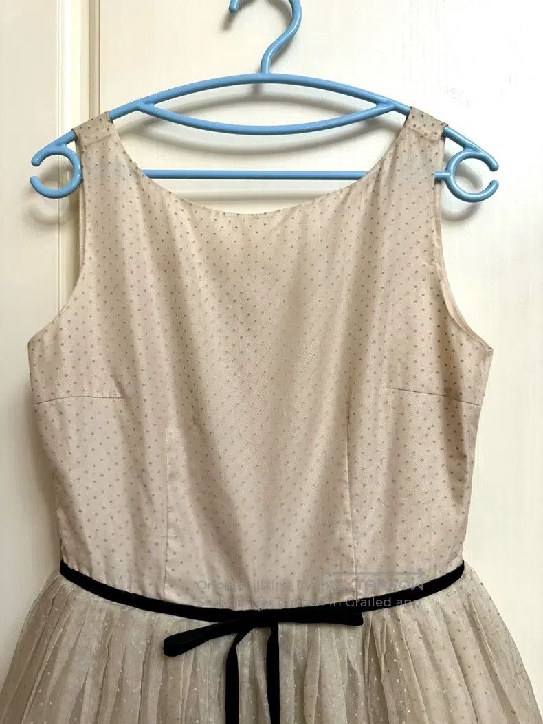 Valentino Valentino Beige flocked gauze sleeveless dress Size S / US 4 / IT 40 - 5 Thumbnail