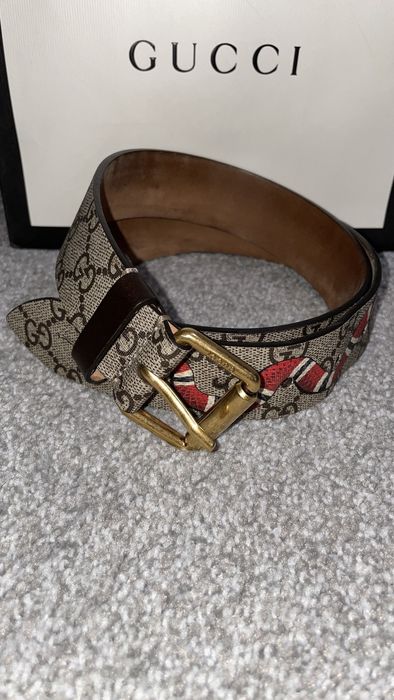 Gg supreme belt hot sale with kingsnake print