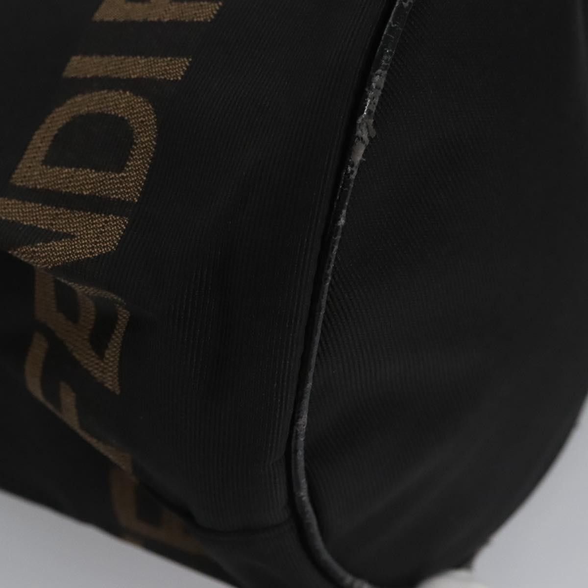 Fendi FENDI Hand Bag Nylon Brown Black Silver Size ONE SIZE - 14 Thumbnail