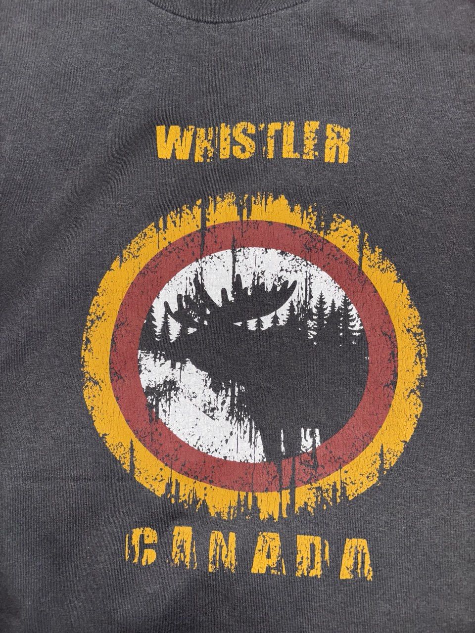 Vintage Vintage Canada Whistler T Shirt Top Tourism Size L Size US L / EU 52-54 / 3 - 3 Thumbnail
