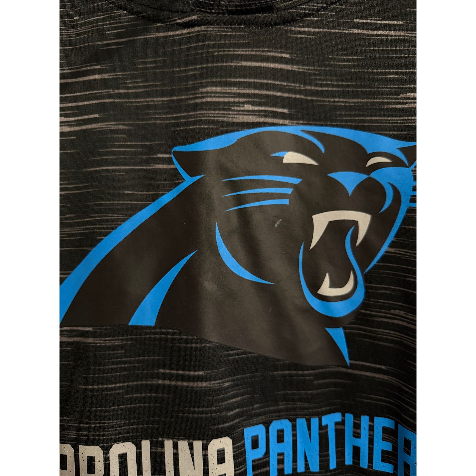 NFL Carolina Panthers NFL Football Hoodie Sweatshirt Size Large Size US L / EU 52-54 / 3 - 3 Thumbnail