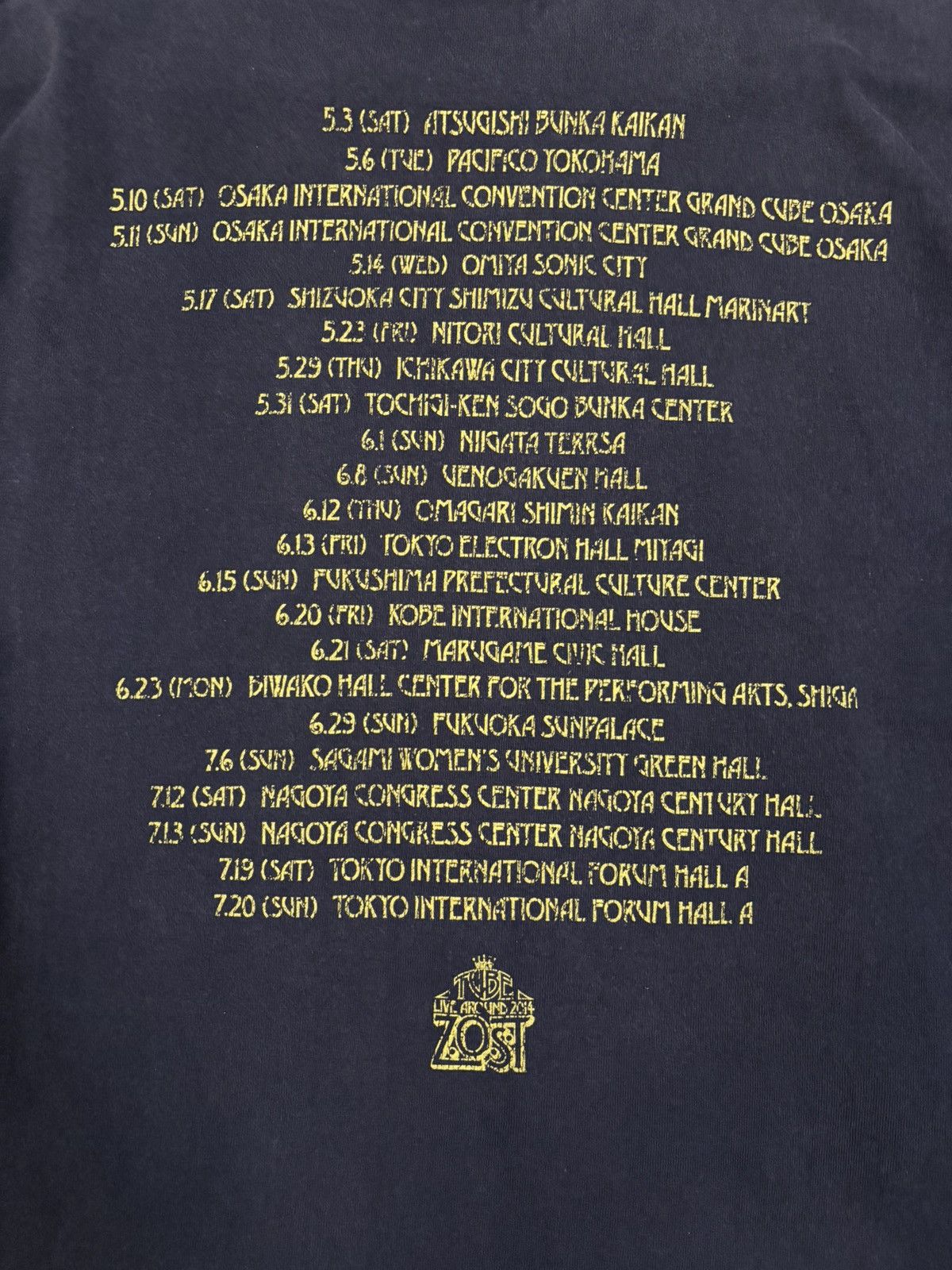 Band Tees Japanese Band TUBE Live Around 2014 ZOST Tour T-shirt Size US L / EU 52-54 / 3 - 10 Thumbnail