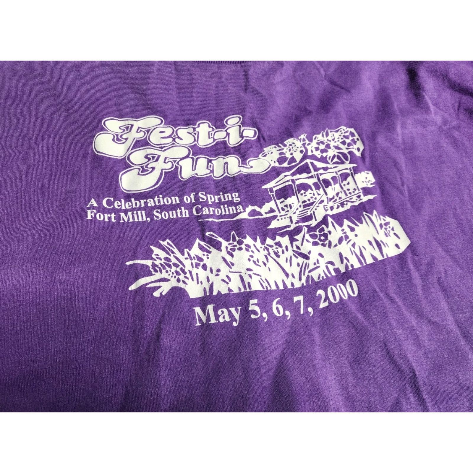 Fruit Of The Loom Vintage 2000 South Carolina Y2K Spring T-Shirt Mens 2XL Distressed Cotton Blend Brand Fruit of the Loom Size US XXL / EU 58 / 5 - 6 Thumbnail
