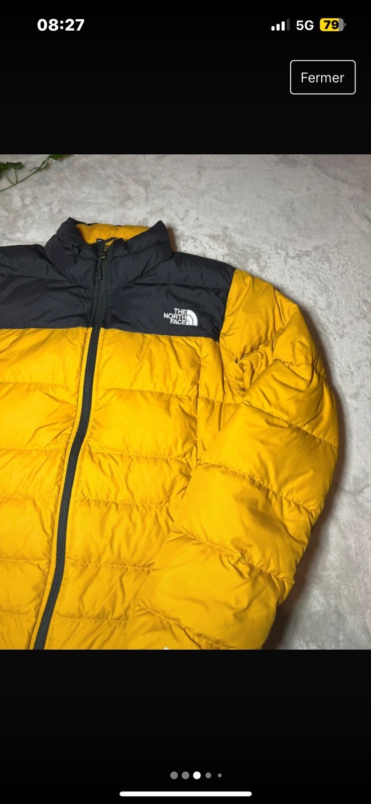 The North Face Doudoune the north face 550 Size US M / EU 48-50 / 2 - 3 Thumbnail
