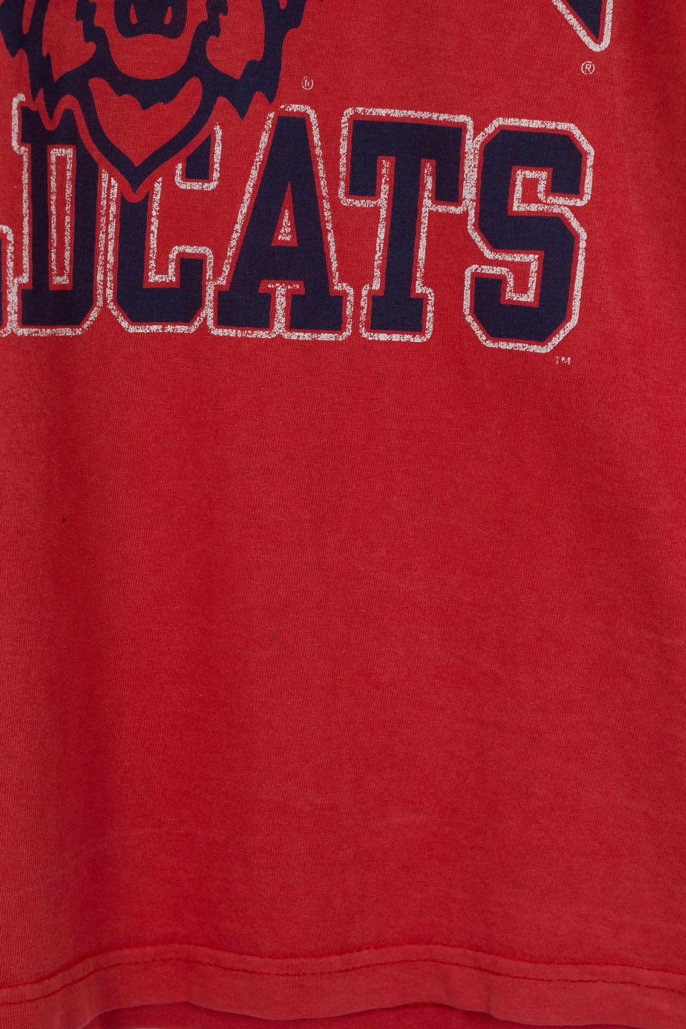 Vintage Vintage Arizona Wildcats National Championship USA Tee 90 NZ Size US L / EU 52-54 / 3 - 3 Thumbnail