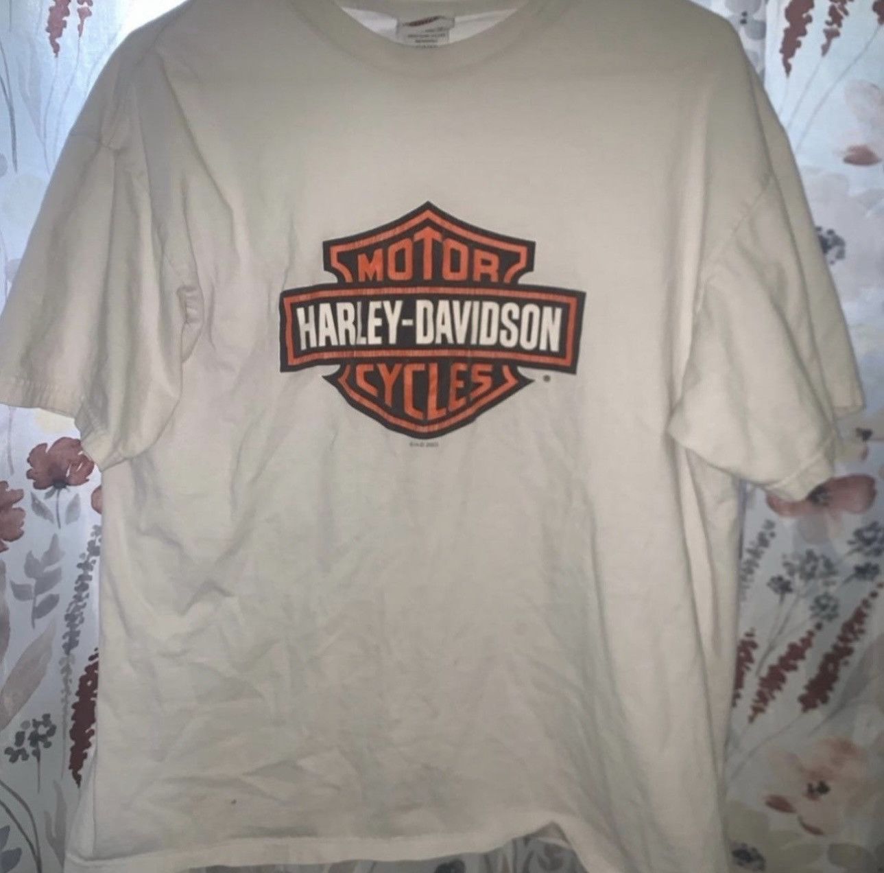 Harley Davidson Vintage Harley Davidson t-shirt Size US L / EU 52-54 / 3 - 1 Thumbnail