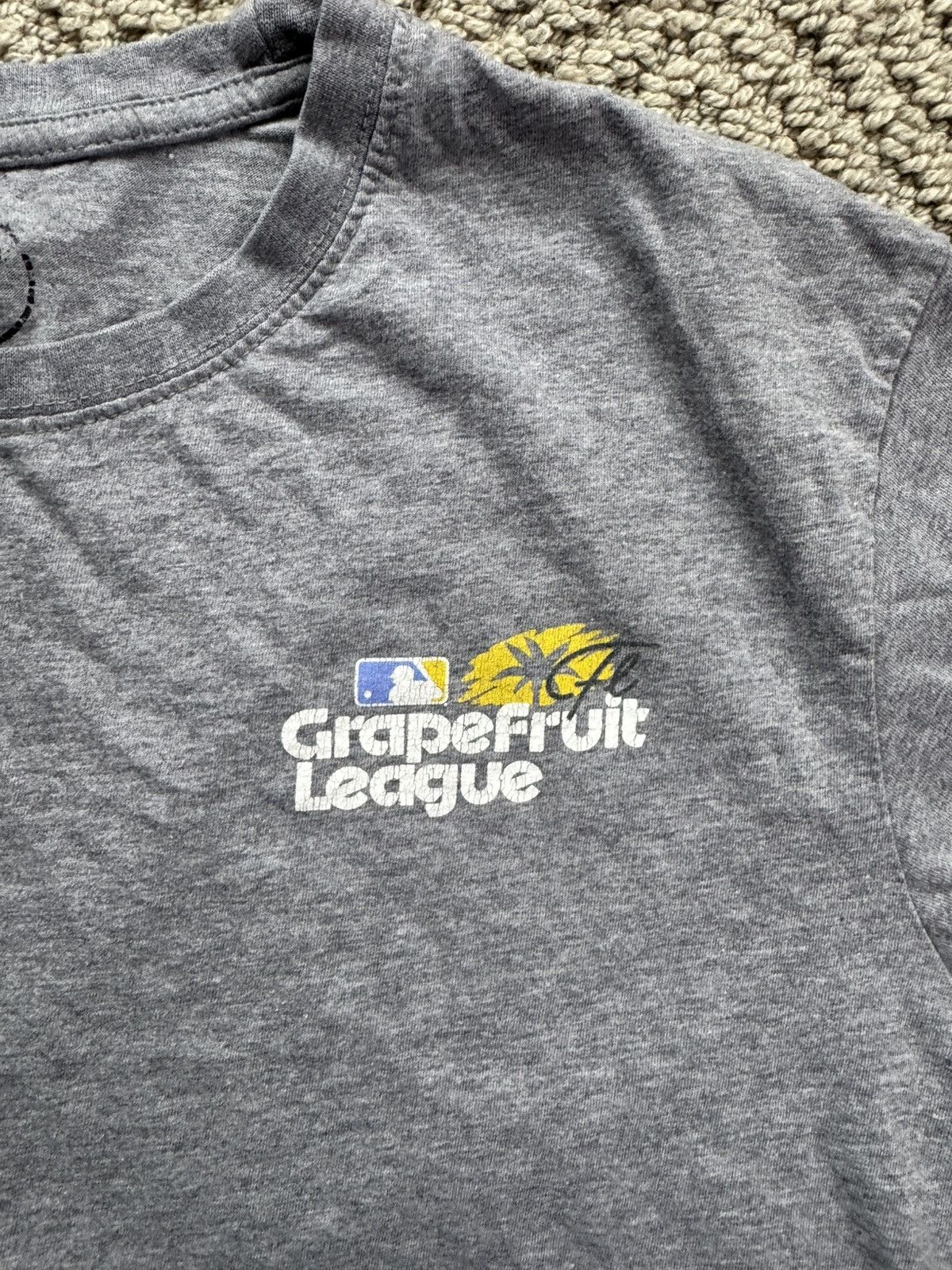 47 Brand MLB Grapefruit League Spring training Tee Size US L / EU 52-54 / 3 - 4 Thumbnail