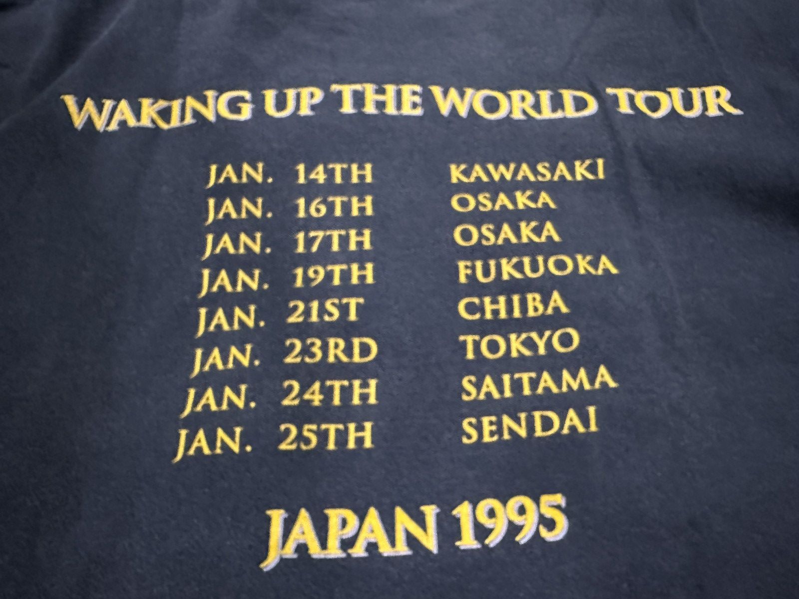 Hanes Vintage 1990’s Dream Theater L/S Japan Tour 1995 TShirt Size US L / EU 52-54 / 3 - 10 Thumbnail