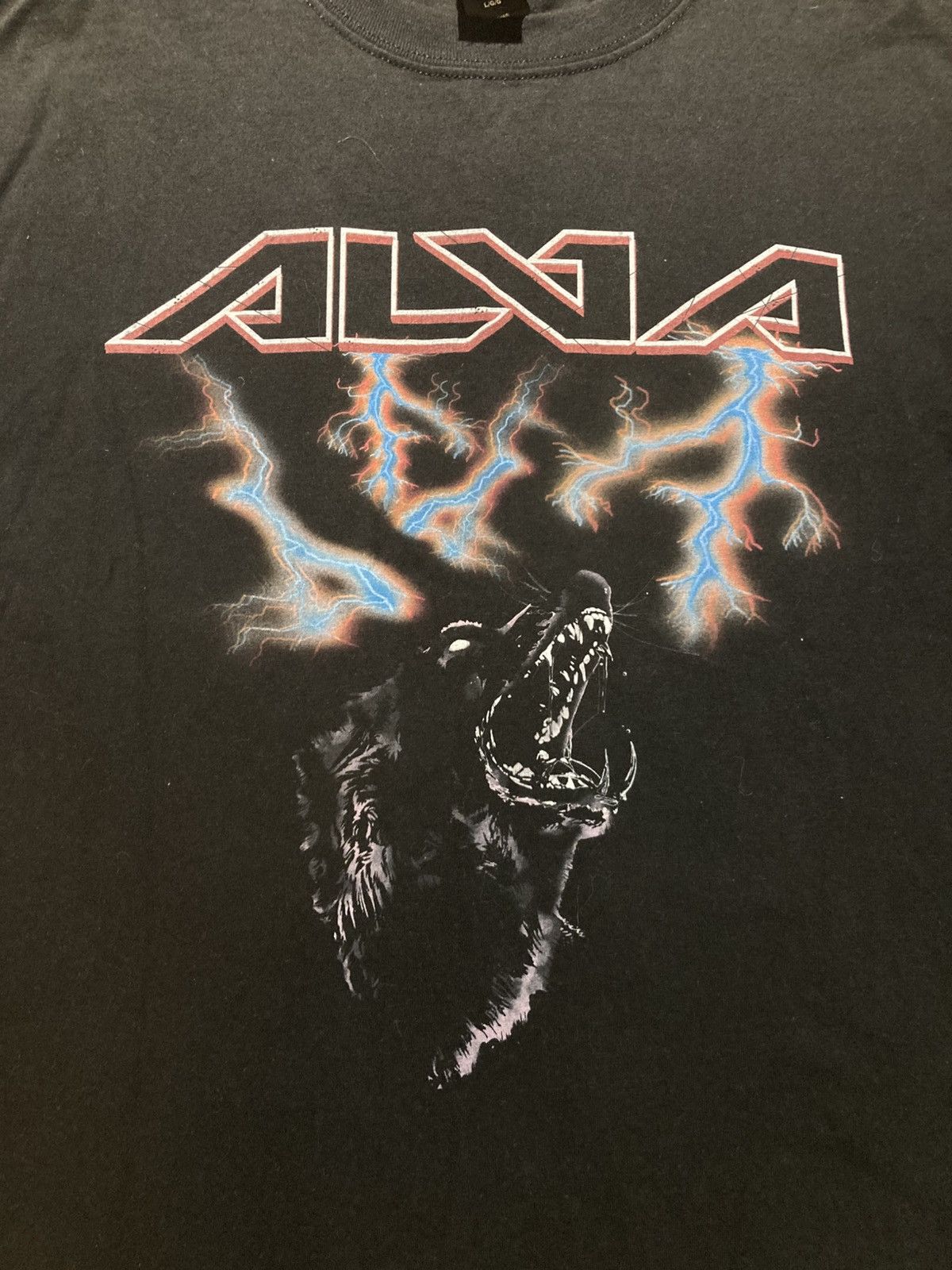 Hanes Tony Alva T-shirt, Men’s size large Size US L / EU 52-54 / 3 - 2 Thumbnail