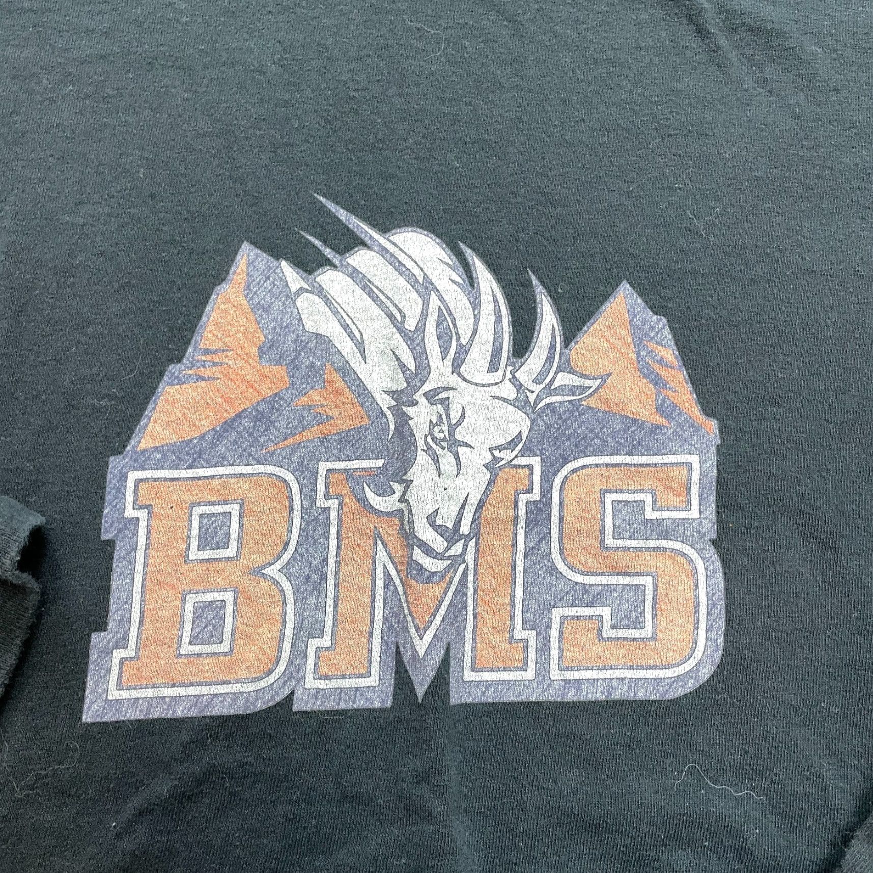 Gildan Gildan Shirt Mens Large Heavy Cotton Black Long Sleeve Blue Mountain State Logo Size US L / EU 52-54 / 3 - 2 Thumbnail