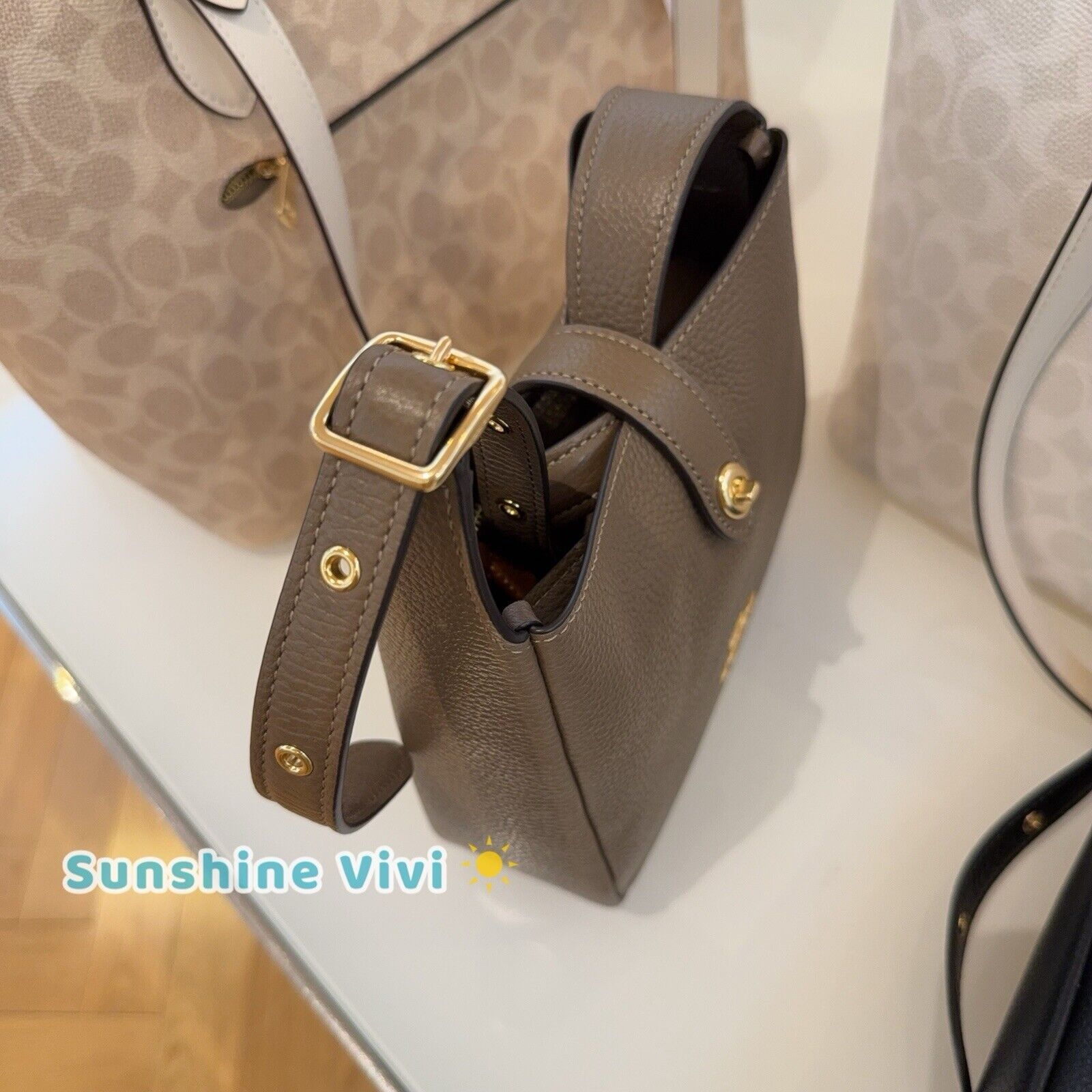 Coach NWT Coach Hadley Mini Crossbody Bag CAL60 Gold/Dark Stone Size ONE SIZE - 2 Thumbnail
