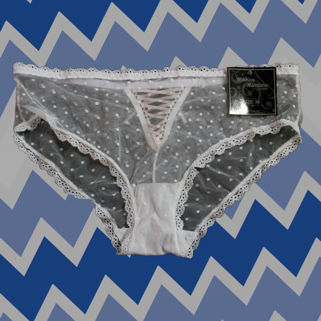 Vintage Wilshire & Montana Women's Intimates Sheer Lace Panty EH6 White Medium NWT Size 32" / US 10 / IT 46 - 1 Thumbnail