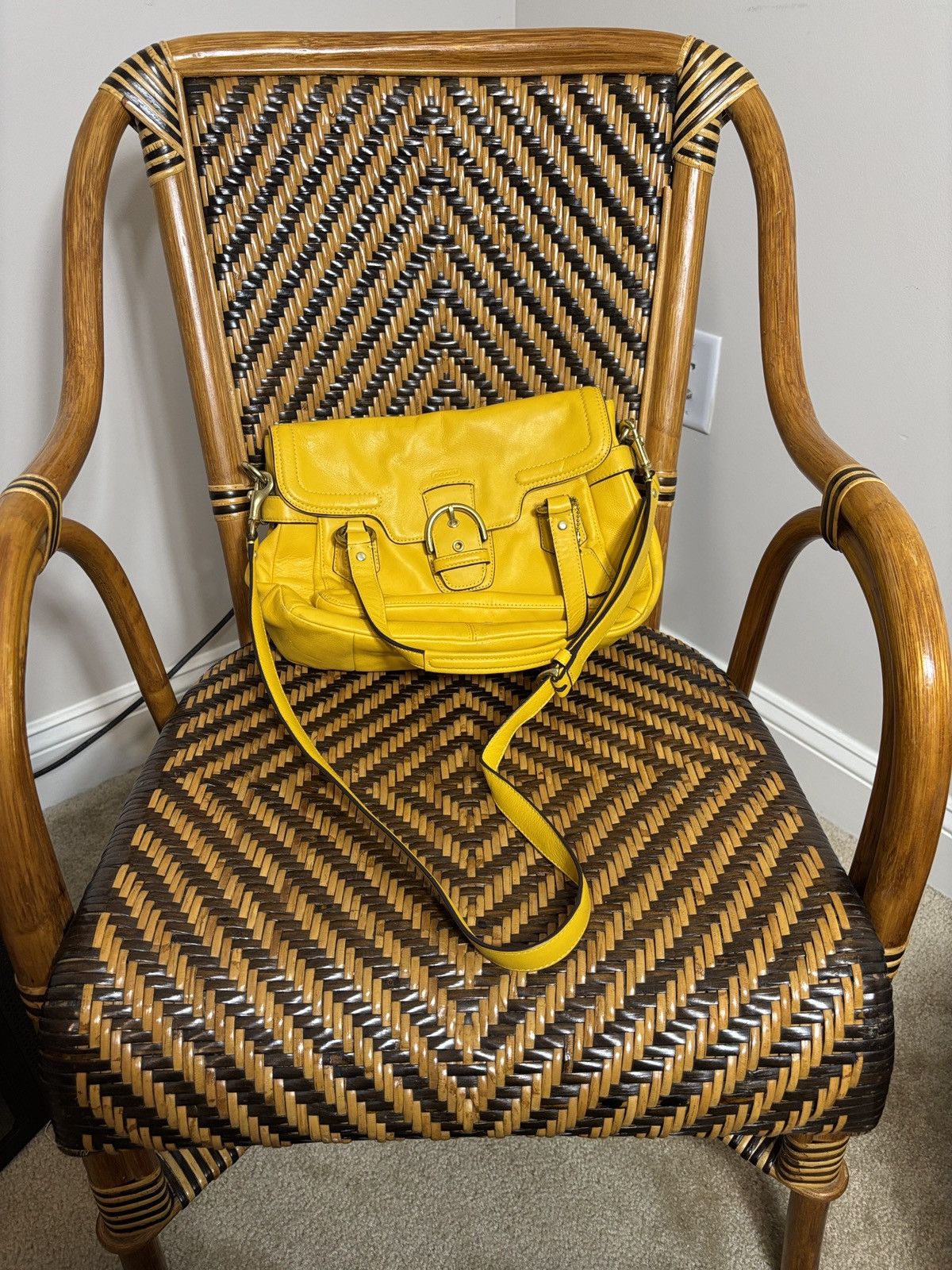 Coach Coach Campbell Crossbody Bag Yellow Rare Size ONE SIZE - 8 Thumbnail