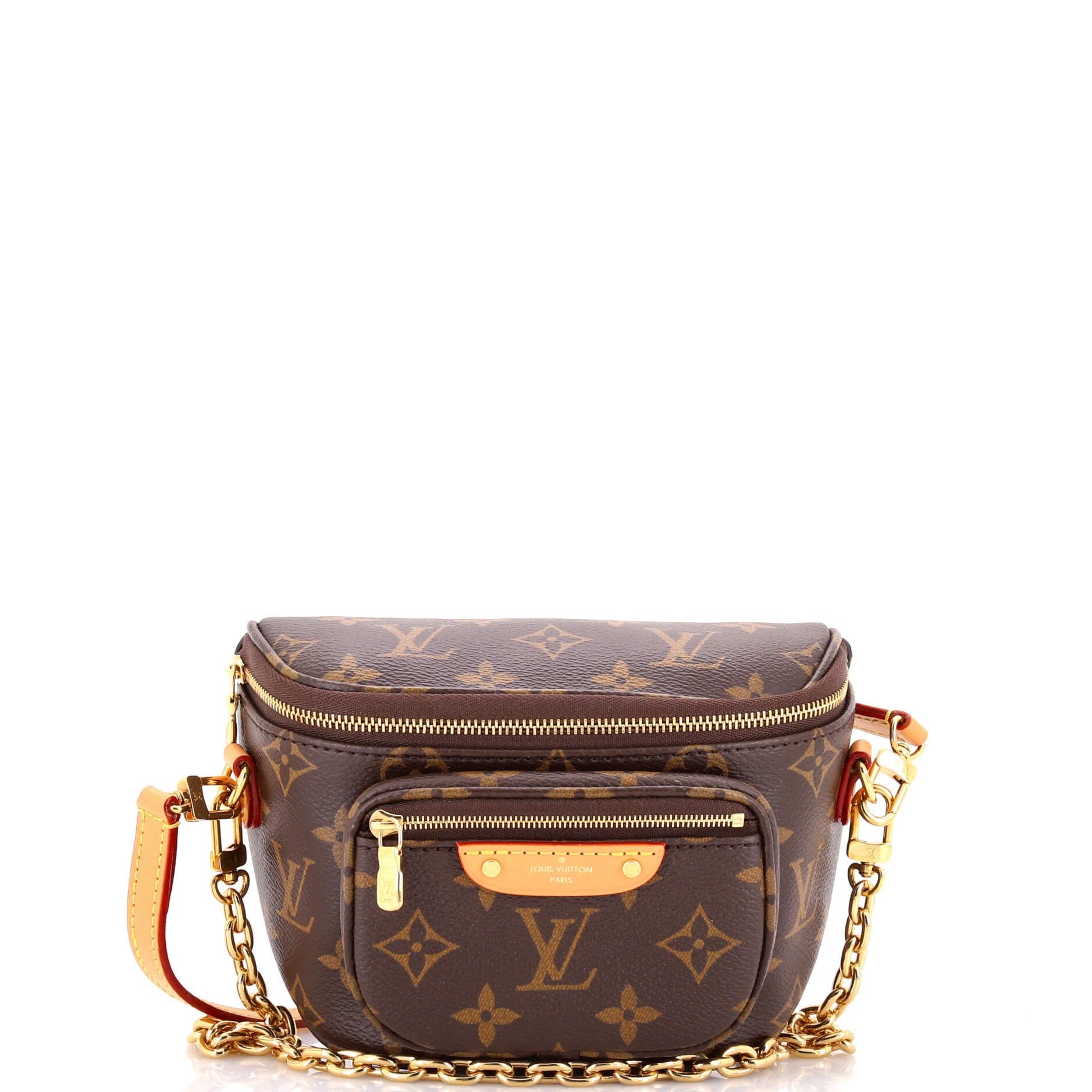 Louis Vuitton Bum Bag Size ONE SIZE - 1 Thumbnail