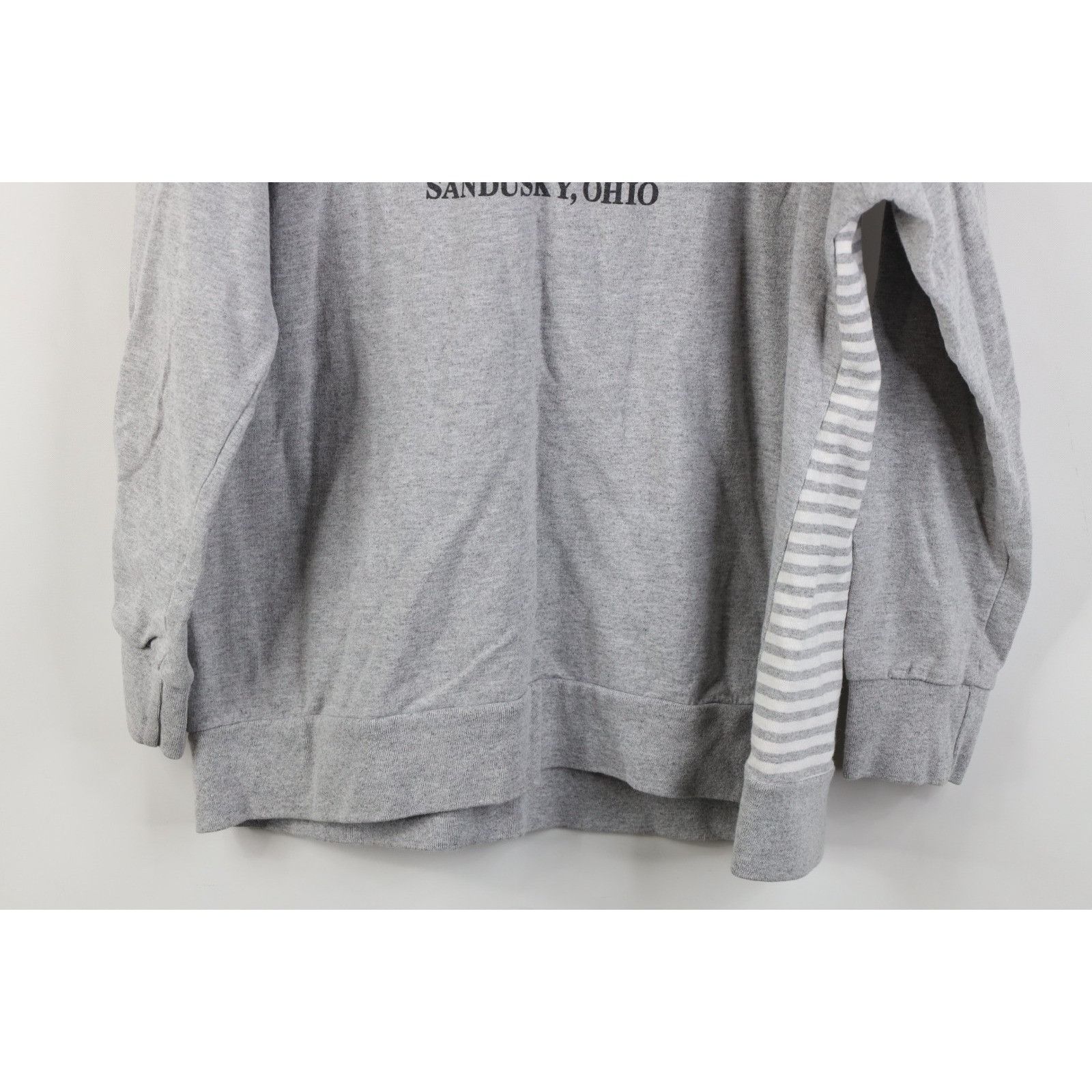 Harley Davidson Vintage Y2K Harley Davidson Striped French Terry Hoodie Size XL / US 12-14 / IT 48-50 - 15 Thumbnail