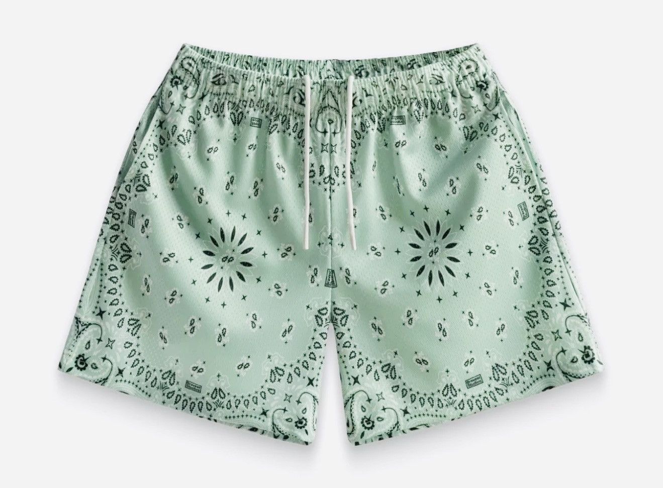 Bravest Studios × Other ⚡️ Bravest Studios Mint Green Paisley Mesh Shorts XXL 2XL ⚡️ Size US 38 / EU 54 - 1 Thumbnail