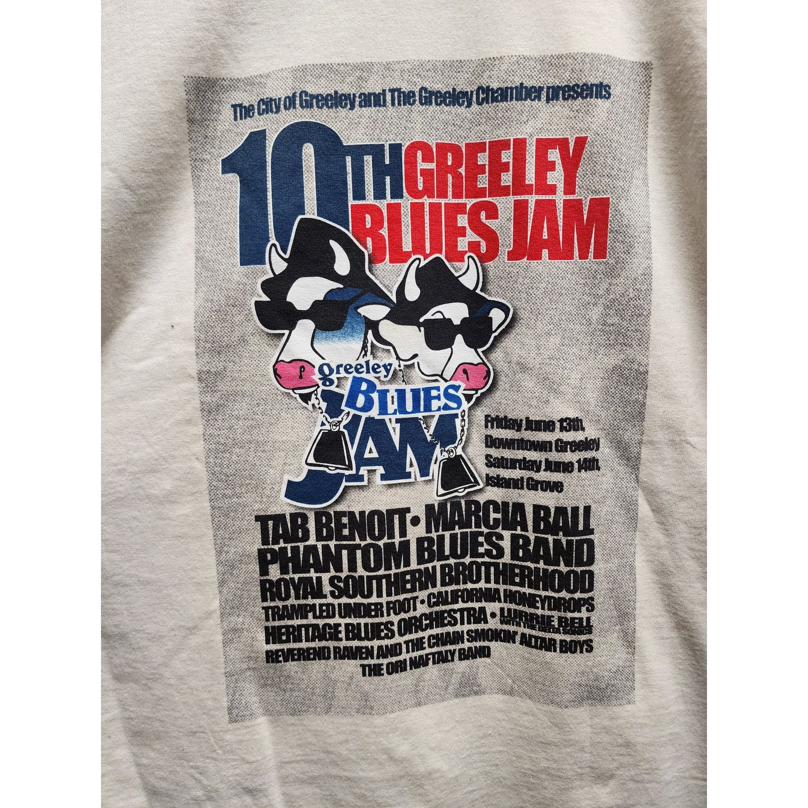 Gildan Greeley Blues Jam Shirt 10th Anniversary XL Concert Tee Size US XL / EU 56 / 4 - 2 Thumbnail